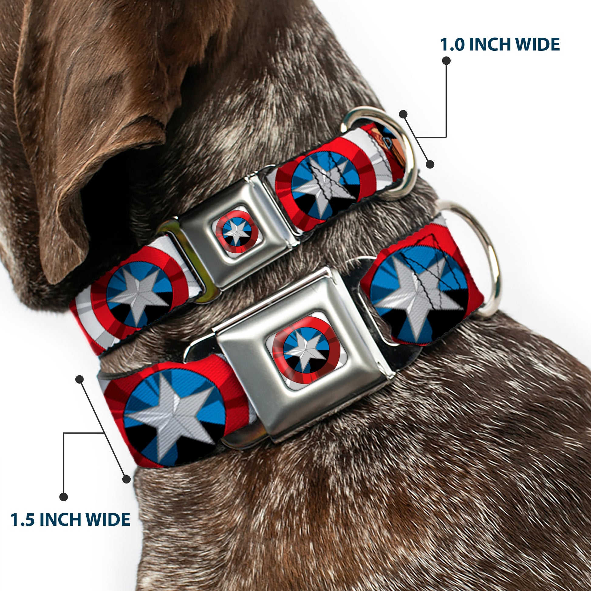 Captain America Shield2 CLOSE-UP Full Color Seatbelt Buckle Collar - Captain America Face Turns/Shield CLOSE-UP Seatbelt Buckle Collars Marvel Comics