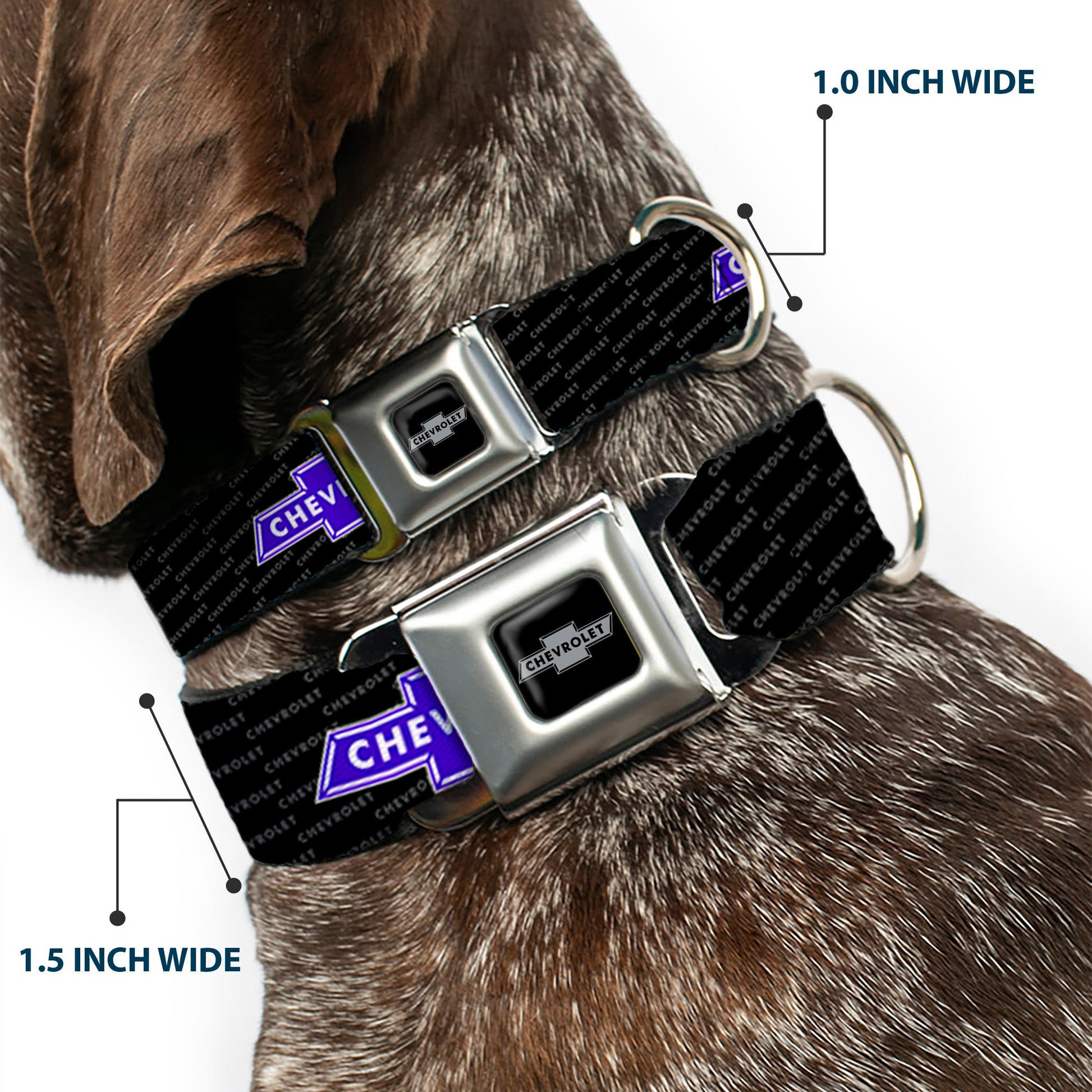 Chevy Bowtie Black Silver Seatbelt Buckle Collar - Chevy Bowtie REPEAT w/Text Seatbelt Buckle Collars GM General Motors