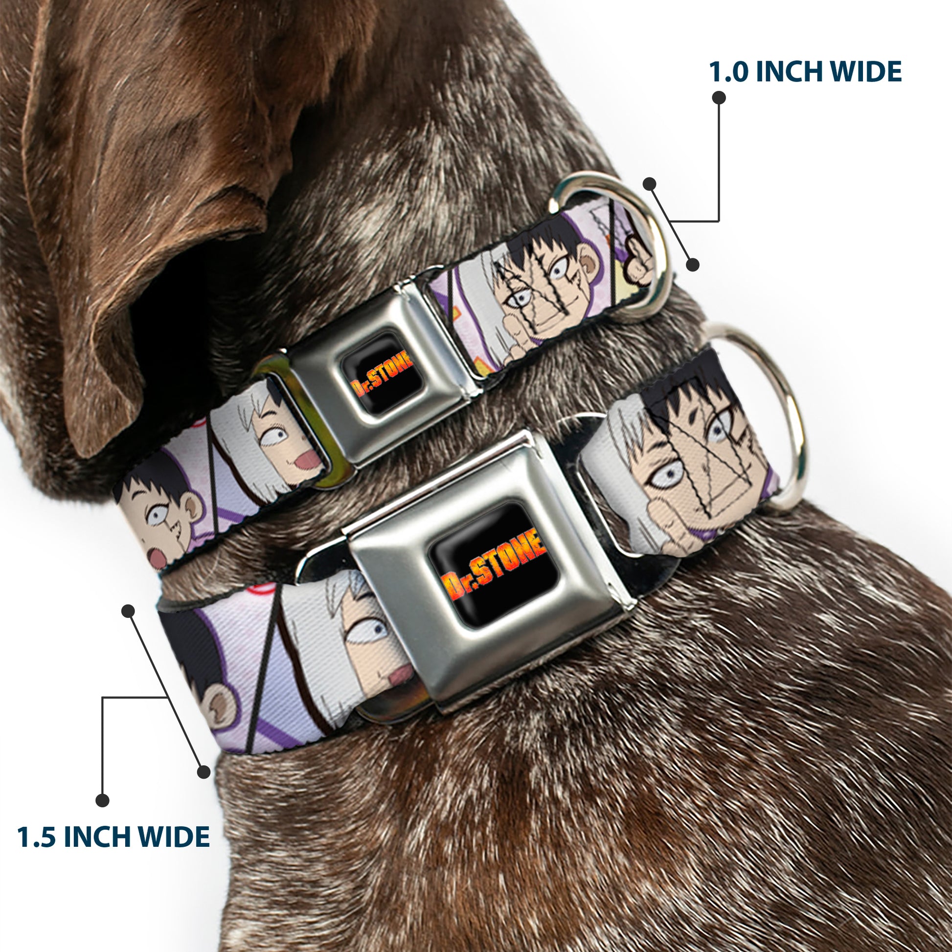 DR. STONE Title Logo Full Color Black/Orange Seatbelt Buckle Collar - Dr. Stone Chibi Gen Asagiri Expression Blocks Seatbelt Buckle Collars Dr. Stone
