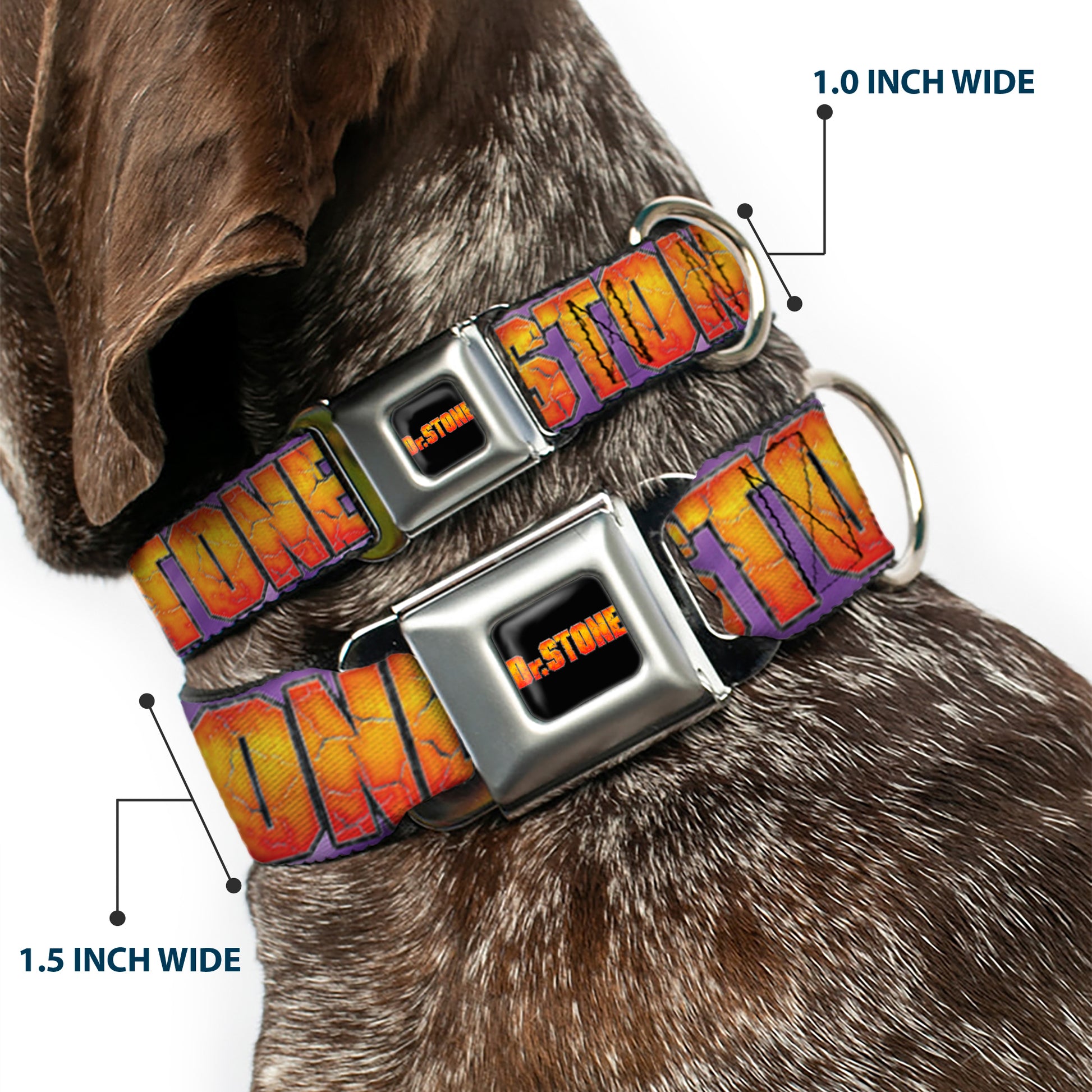 DR. STONE Title Logo Full Color Black/Orange Seatbelt Buckle Collar - DR. STONE Title Logo and Gen Asagiri Face Purples Seatbelt Buckle Collars Dr. Stone