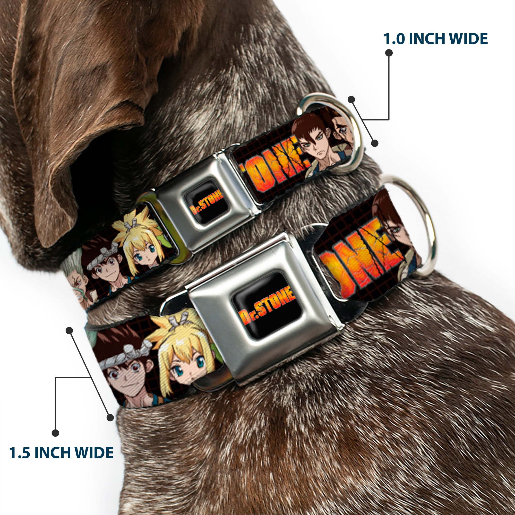 DR. STONE Title Logo Full Color Black/Orange Seatbelt Buckle Collar - DR. STONE Title Logo and Character Group Black Seatbelt Buckle Collars Dr. Stone