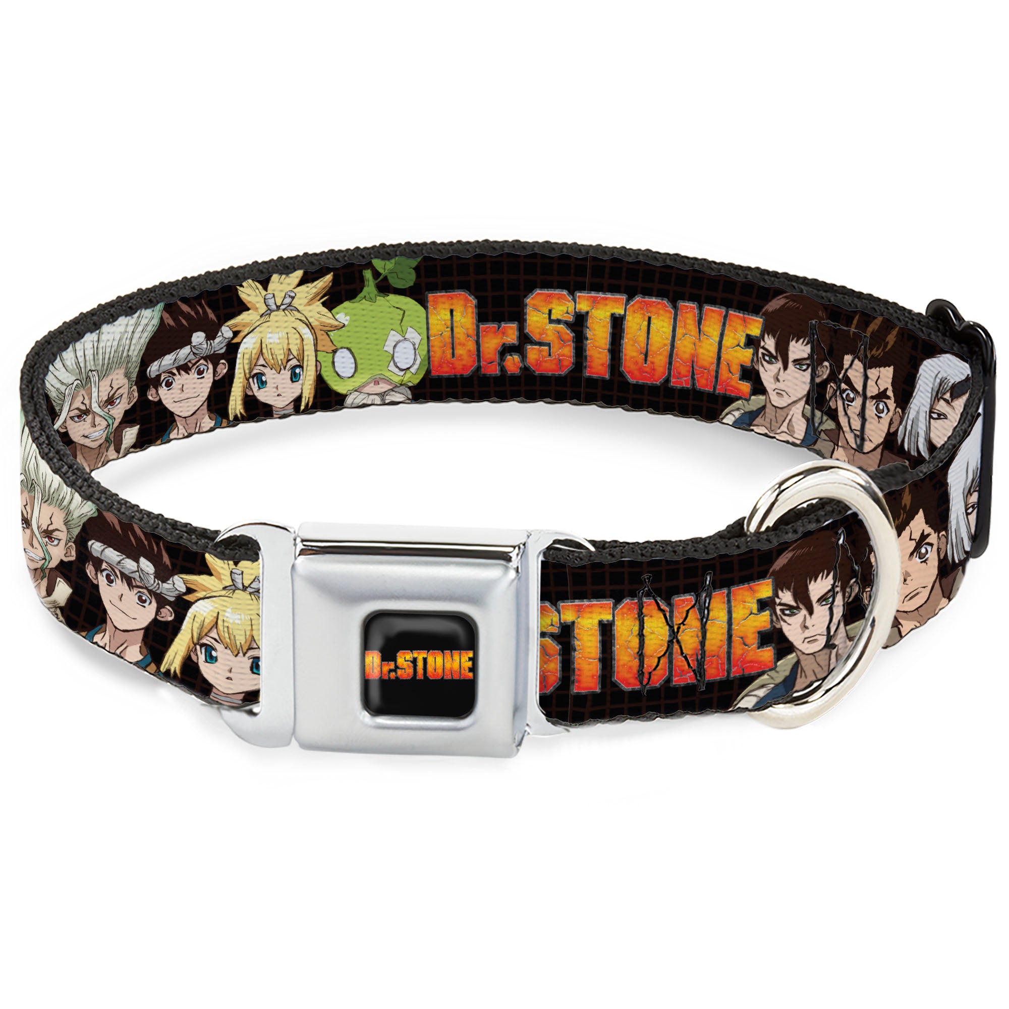 DR. STONE Title Logo Full Color Black/Orange Seatbelt Buckle Collar - DR. STONE Title Logo and Character Group Black Seatbelt Buckle Collars Dr. Stone