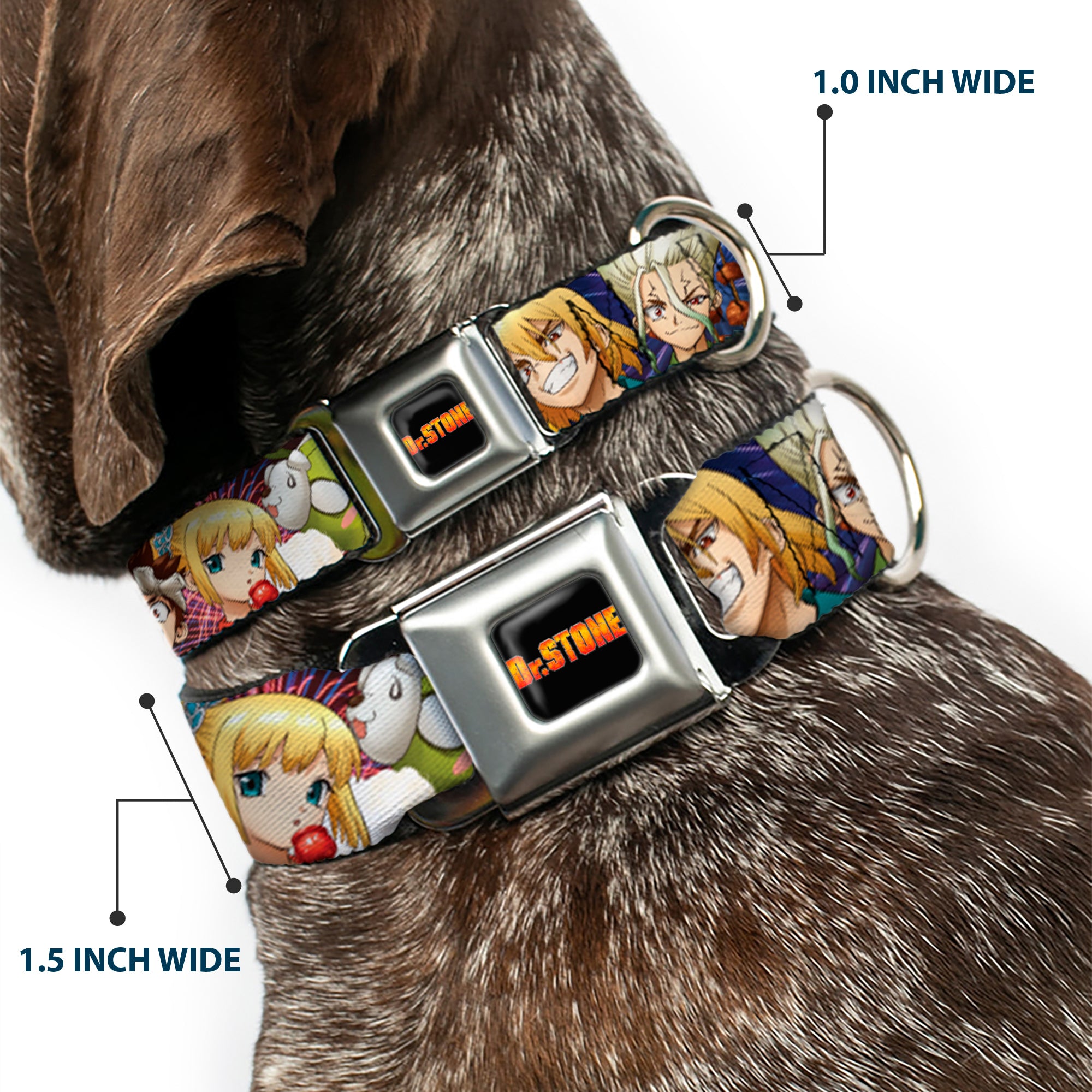 DR. STONE Title Logo Full Color Black/Orange Seatbelt Buckle Collar - Dr. Stone Character Group Faces Close-Up Seatbelt Buckle Collars Dr. Stone