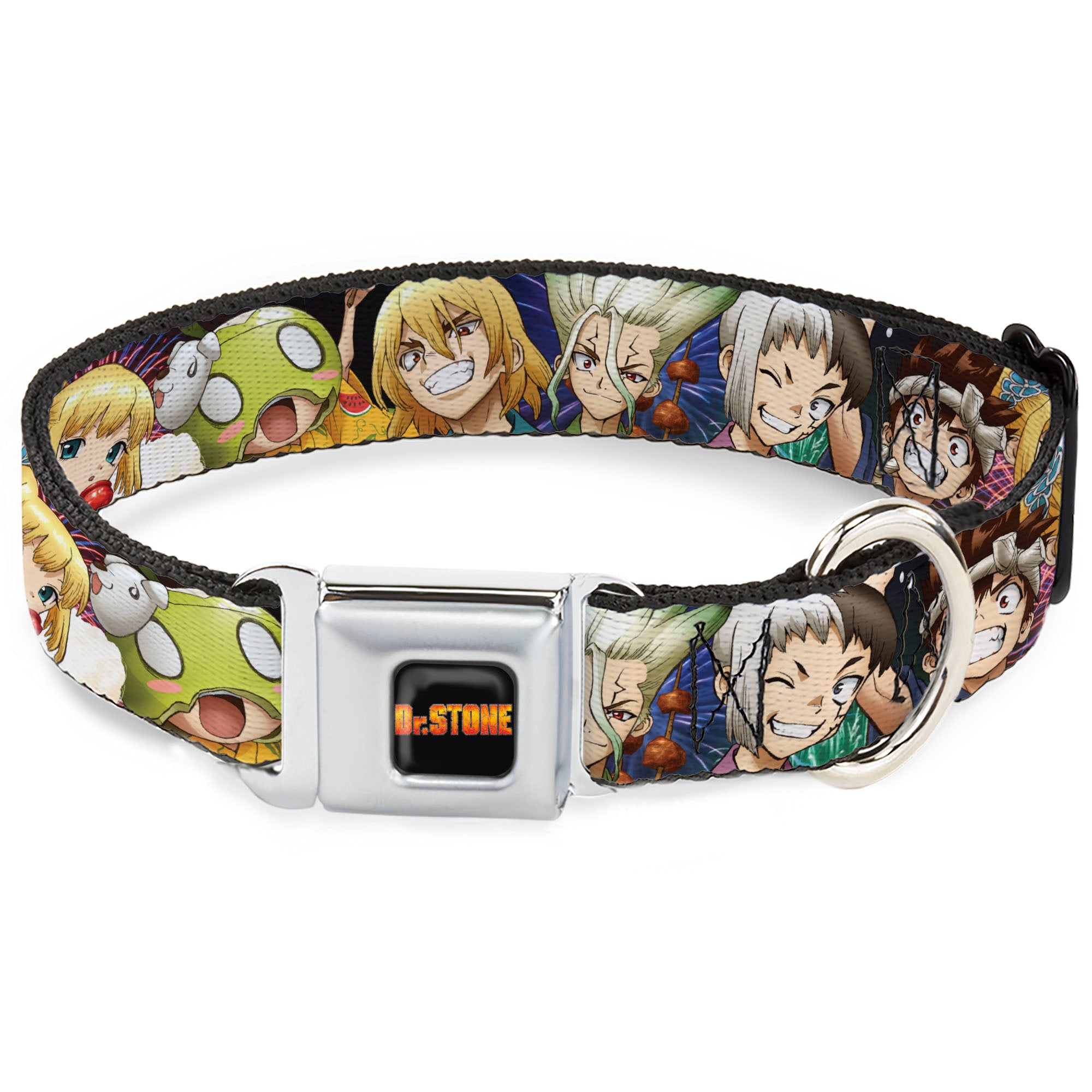 DR. STONE Title Logo Full Color Black/Orange Seatbelt Buckle Collar - Dr. Stone Character Group Faces Close-Up Seatbelt Buckle Collars Dr. Stone