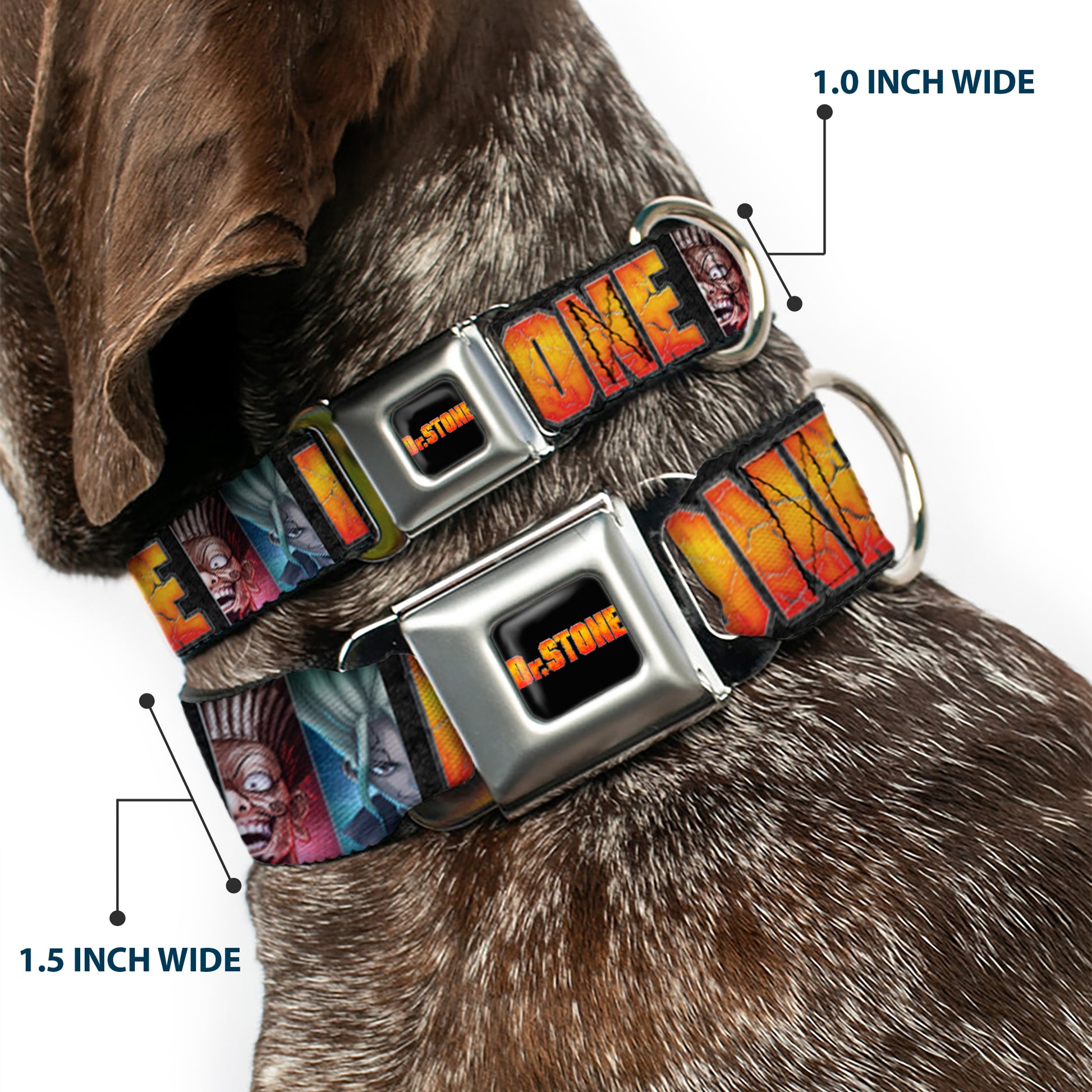 DR. STONE Title Logo Full Color Black/Orange Seatbelt Buckle Collar - DR. STONE Title Logo and Ibarra Senku Split Pose Black Seatbelt Buckle Collars Dr. Stone