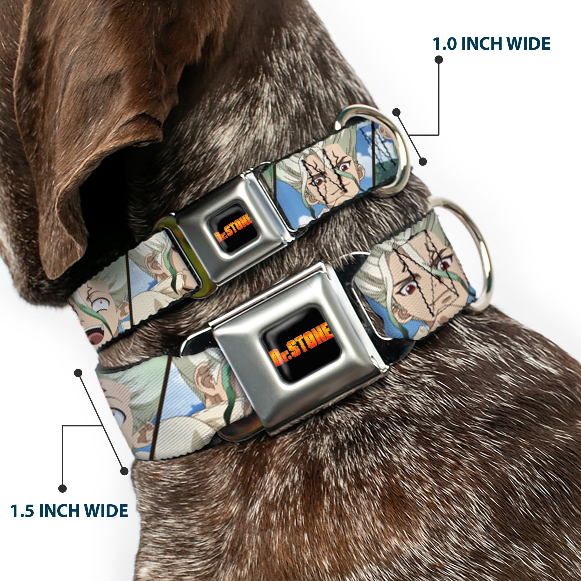 DR. STONE Title Logo Full Color Black/Orange Seatbelt Buckle Collar - Dr. Stone Senku Ishigami Expression Blocks Blues Seatbelt Buckle Collars Dr. Stone
