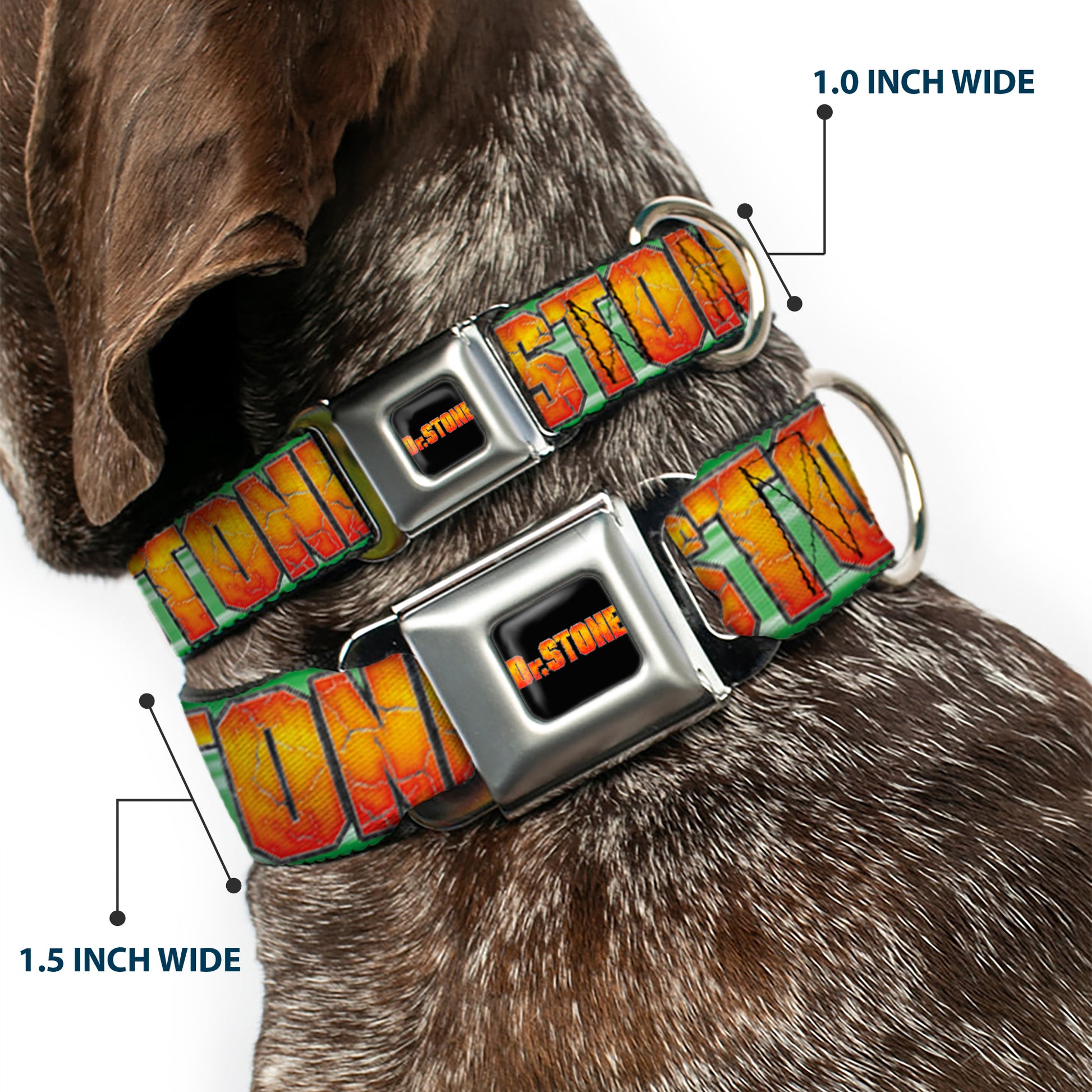 DR. STONE Title Logo Full Color Black/Orange Seatbelt Buckle Collar - DR. STONE Title Logo and Suika Face Close-Up Greens Seatbelt Buckle Collars Dr. Stone