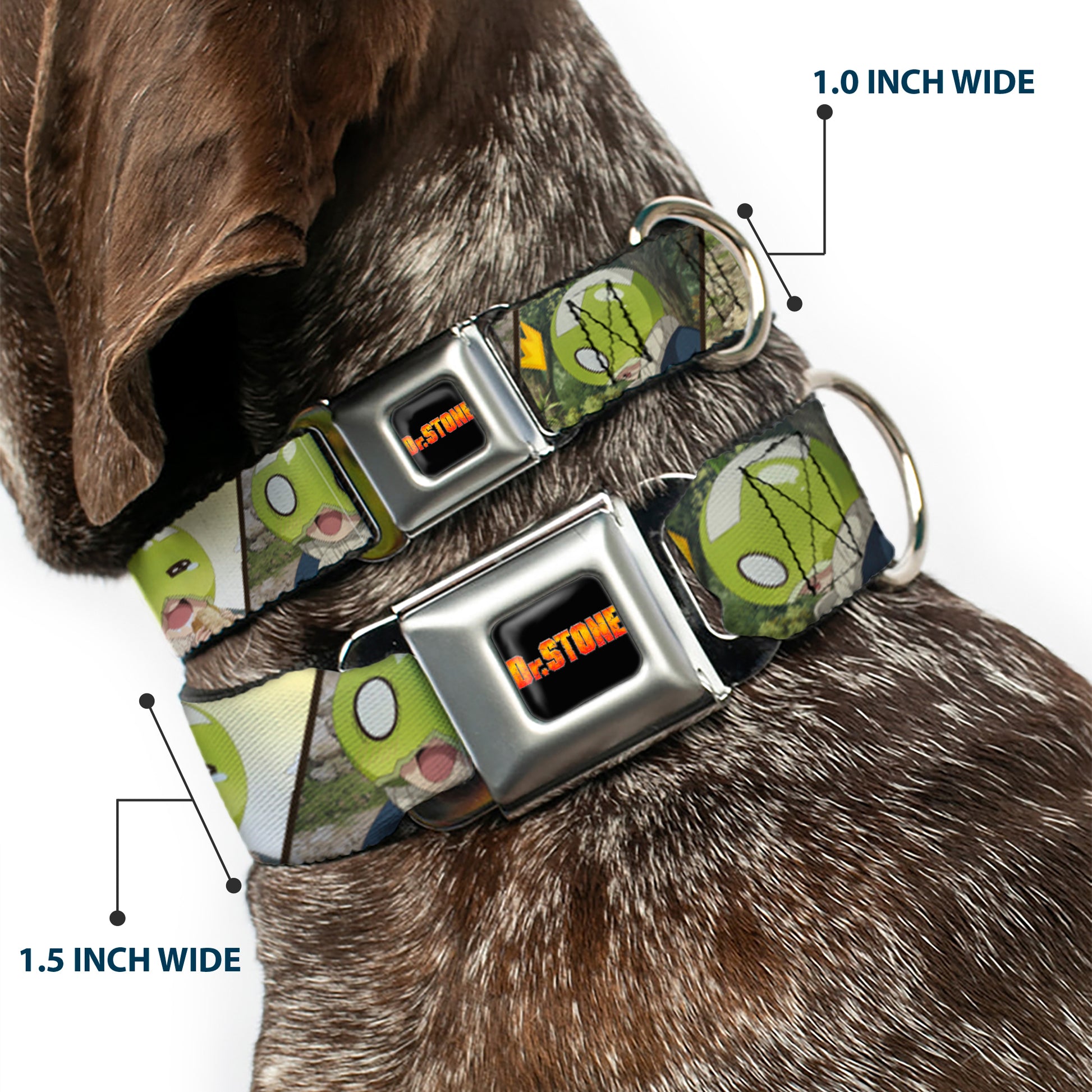 DR. STONE Title Logo Full Color Black/Orange Seatbelt Buckle Collar - DR. STONE Title Logo and Suika Pose Blocks Seatbelt Buckle Collars Dr. Stone