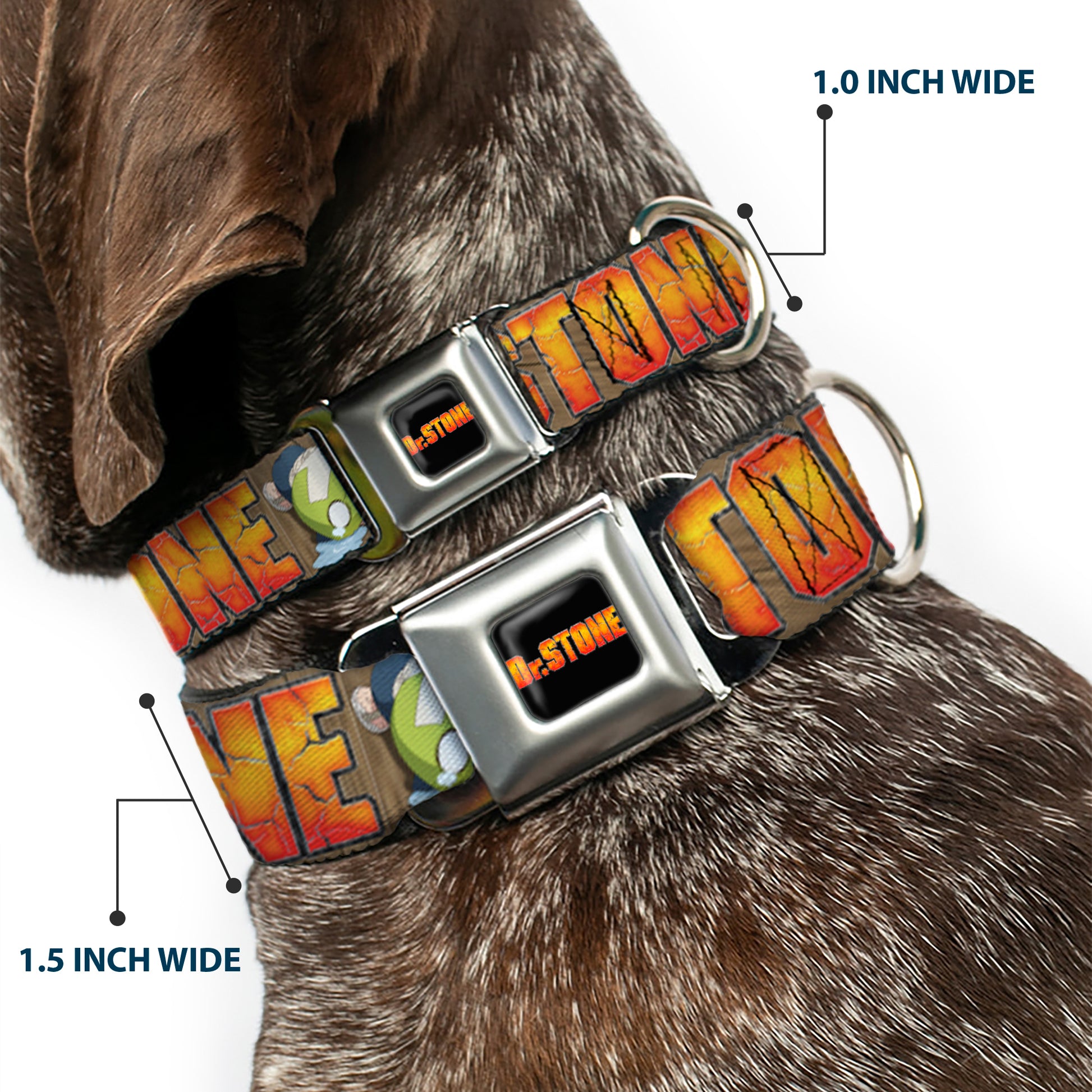 DR. STONE Title Logo Full Color Black/Orange Seatbelt Buckle Collar - DR. STONE Title Logo and Suika Crying Pose Browns Seatbelt Buckle Collars Dr. Stone
