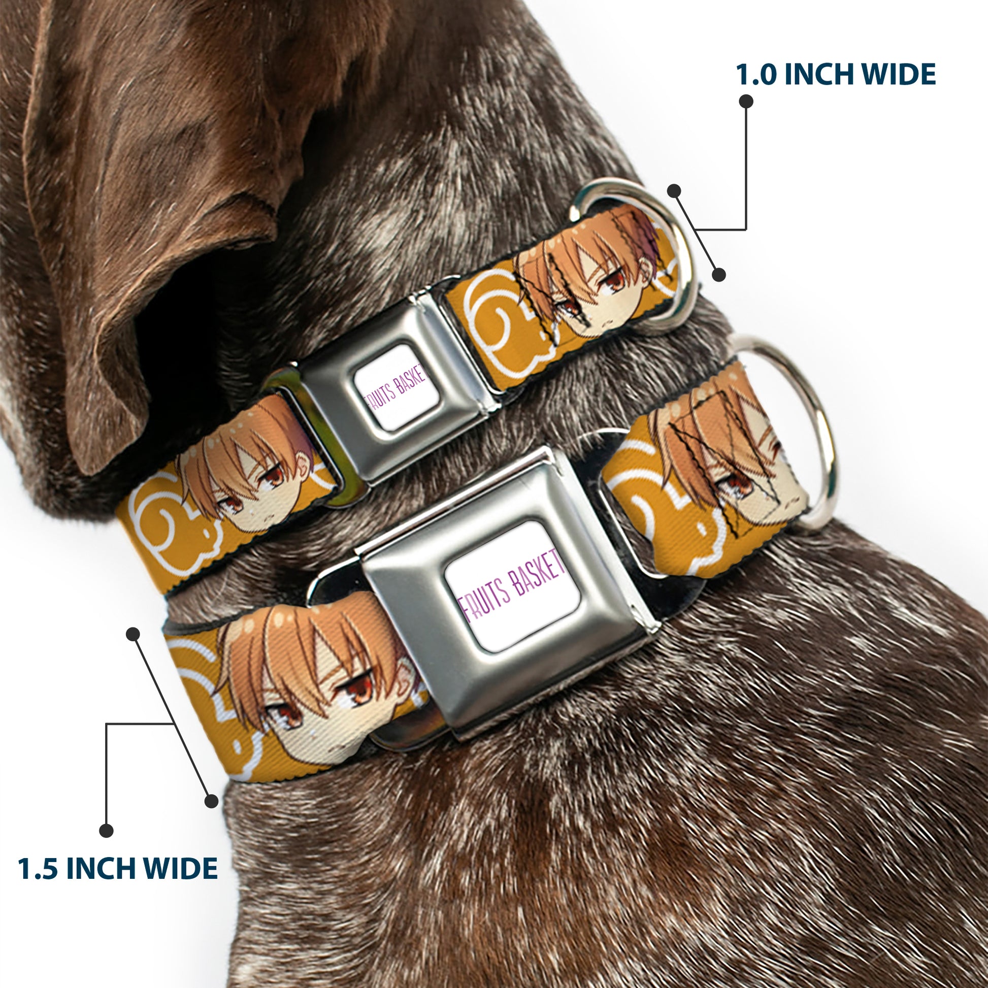 FRUITS BASKET Title Logo Full Color White/Purple Seatbelt Buckle Collar - Fruits Basket Chibi Kyo Soma Face and Kimono Cat Icon Orange/White Seatbelt Buckle Collars Fruits Basket