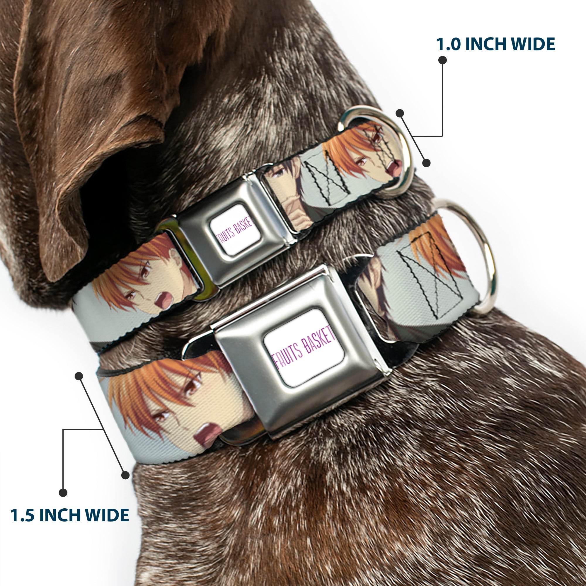 FRUITS BASKET Title Logo Full Color White/Purple Seatbelt Buckle Collar - Fruits Basket Kyo Yuki Shigure Group Faces Mint Green Seatbelt Buckle Collars Fruits Basket