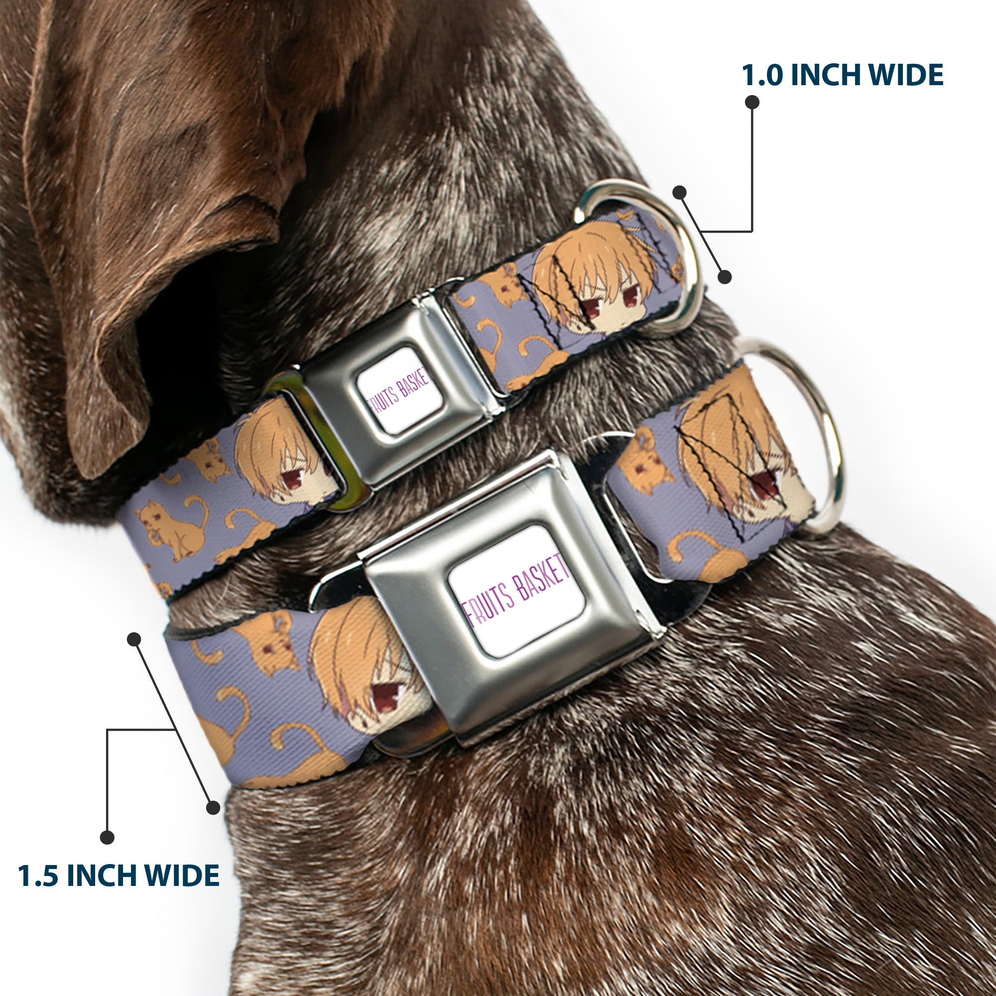 FRUITS BASKET Title Logo Full Color White/Purple Seatbelt Buckle Collar - Fruits Basket Chibi Kyo Soma and Cat Scattered Blue/Orange Seatbelt Buckle Collars Fruits Basket