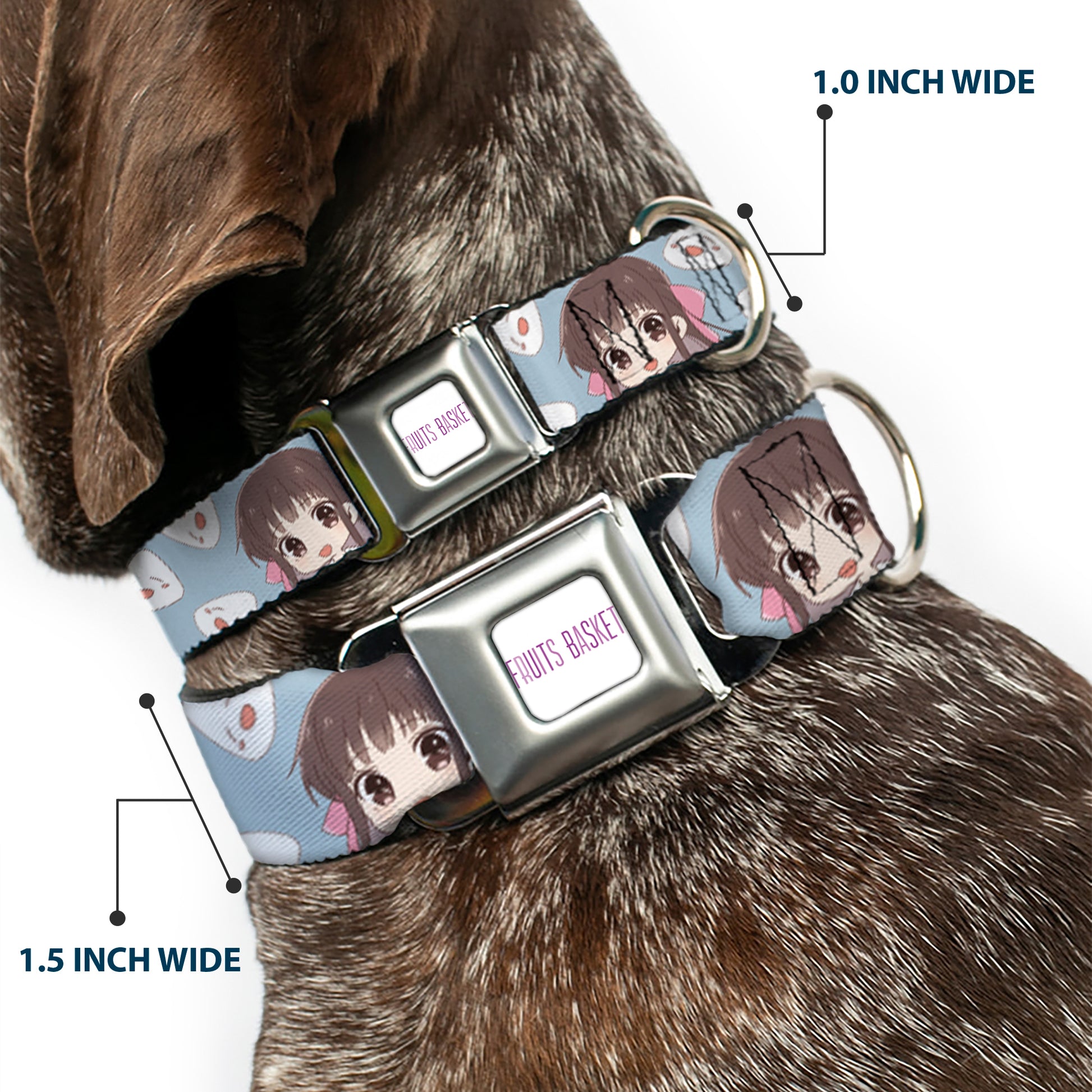 FRUITS BASKET Title Logo Full Color White/Purple Seatbelt Buckle Collar - Fruits Basket Chibi Tohru Honda and Rice Ball Scattered Light Blue Seatbelt Buckle Collars Fruits Basket