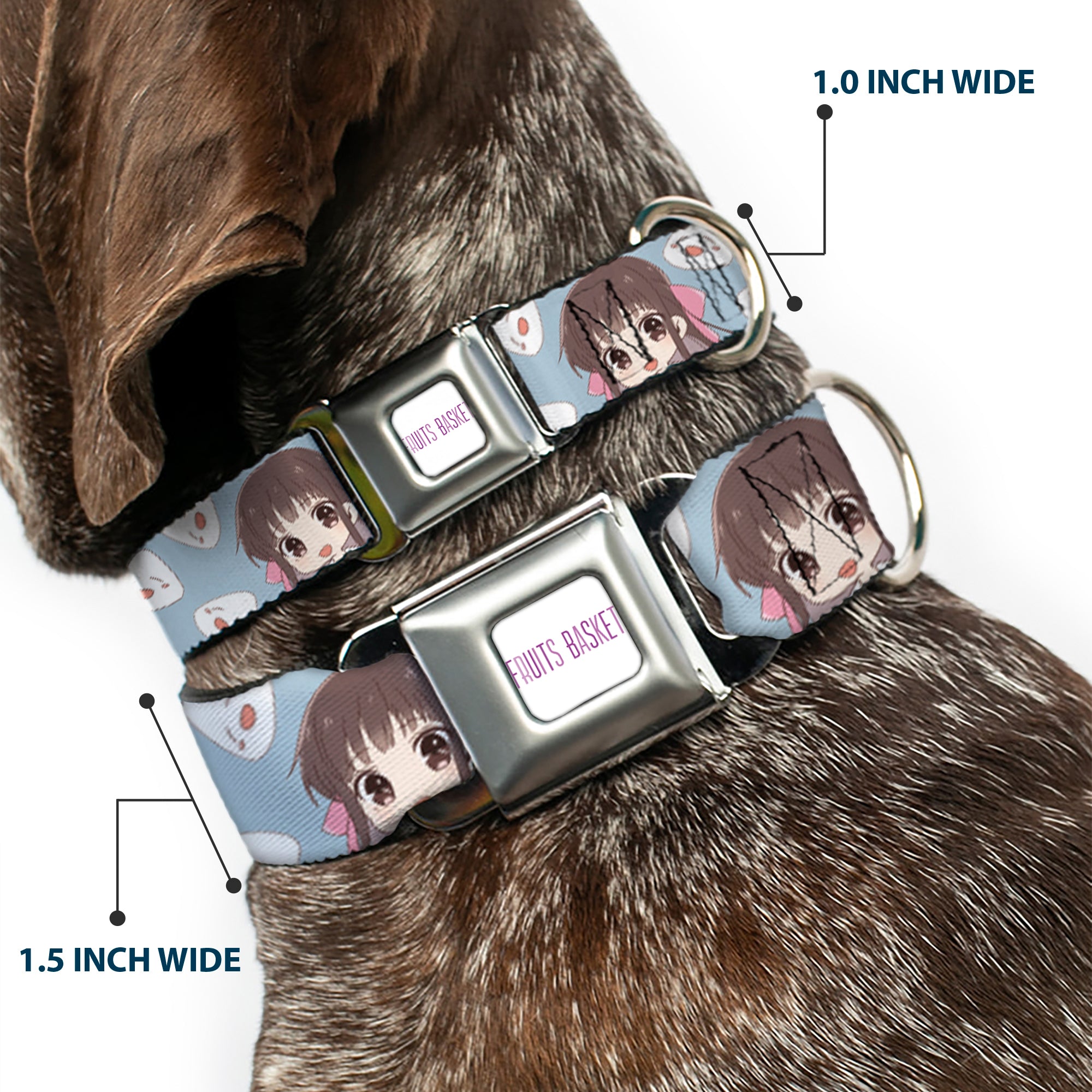FRUITS BASKET Title Logo Full Color White/Purple Seatbelt Buckle Collar - Fruits Basket Chibi Tohru Honda and Rice Ball Scattered Light Blue Seatbelt Buckle Collars Fruits Basket