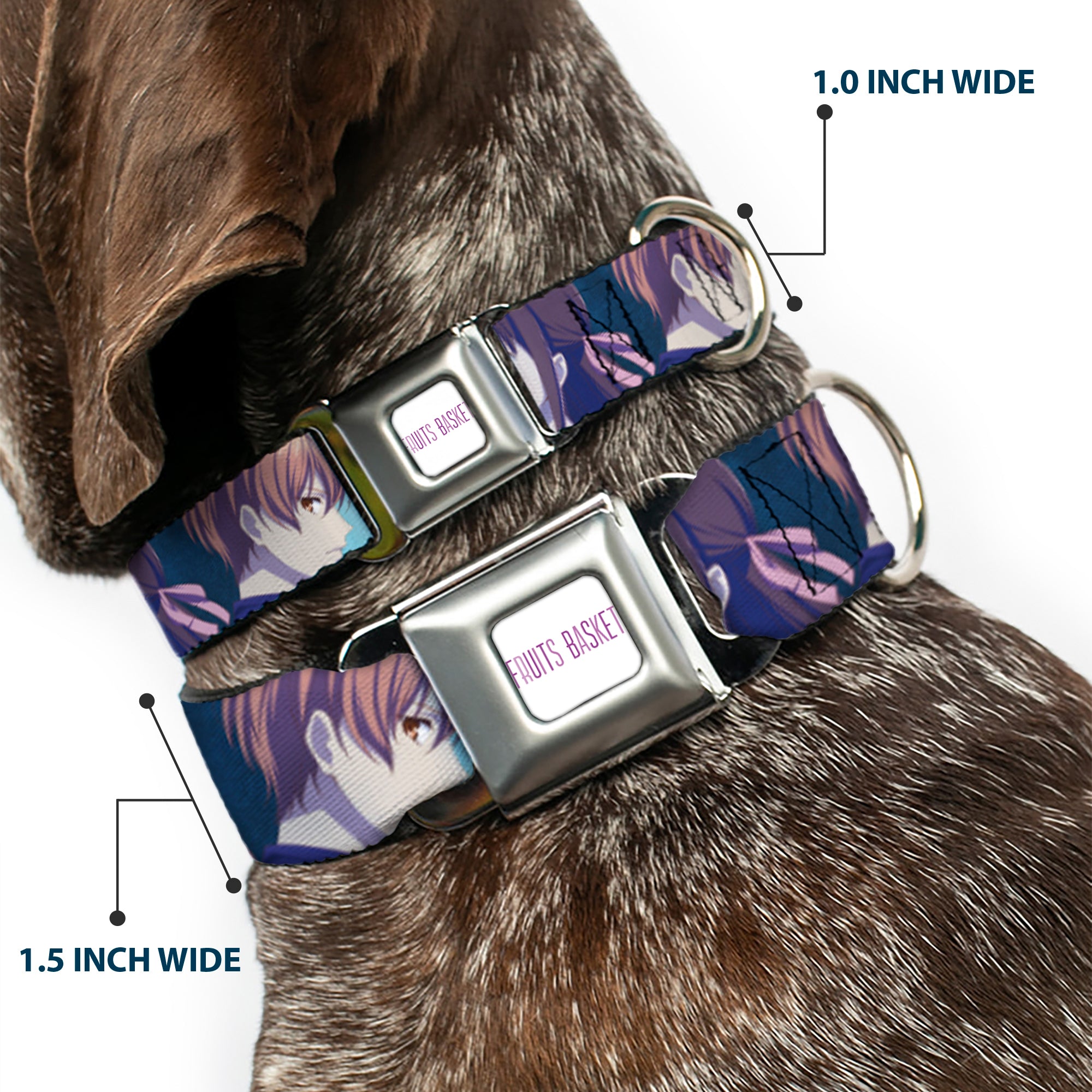 FRUITS BASKET Title Logo Full Color White/Purple Seatbelt Buckle Collar - Fruits Basket Yuki Tohru Kyo Final Season Group Pose Blues Seatbelt Buckle Collars Fruits Basket
