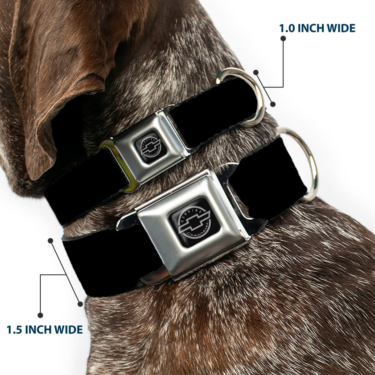 Chevy Bowtie Black Silver Seatbelt Buckle Collar - Chevy Bowtie Logo REPEAT Dog Collars Seatbelt Buckle GM General Motors