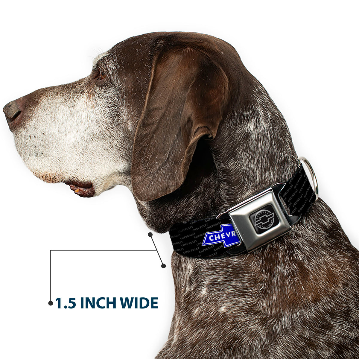 Chevy Bowtie Black Silver Seatbelt Buckle Collar - Chevy Bowtie REPEAT w/Text Dog Collars Seatbelt Buckle GM General Motors