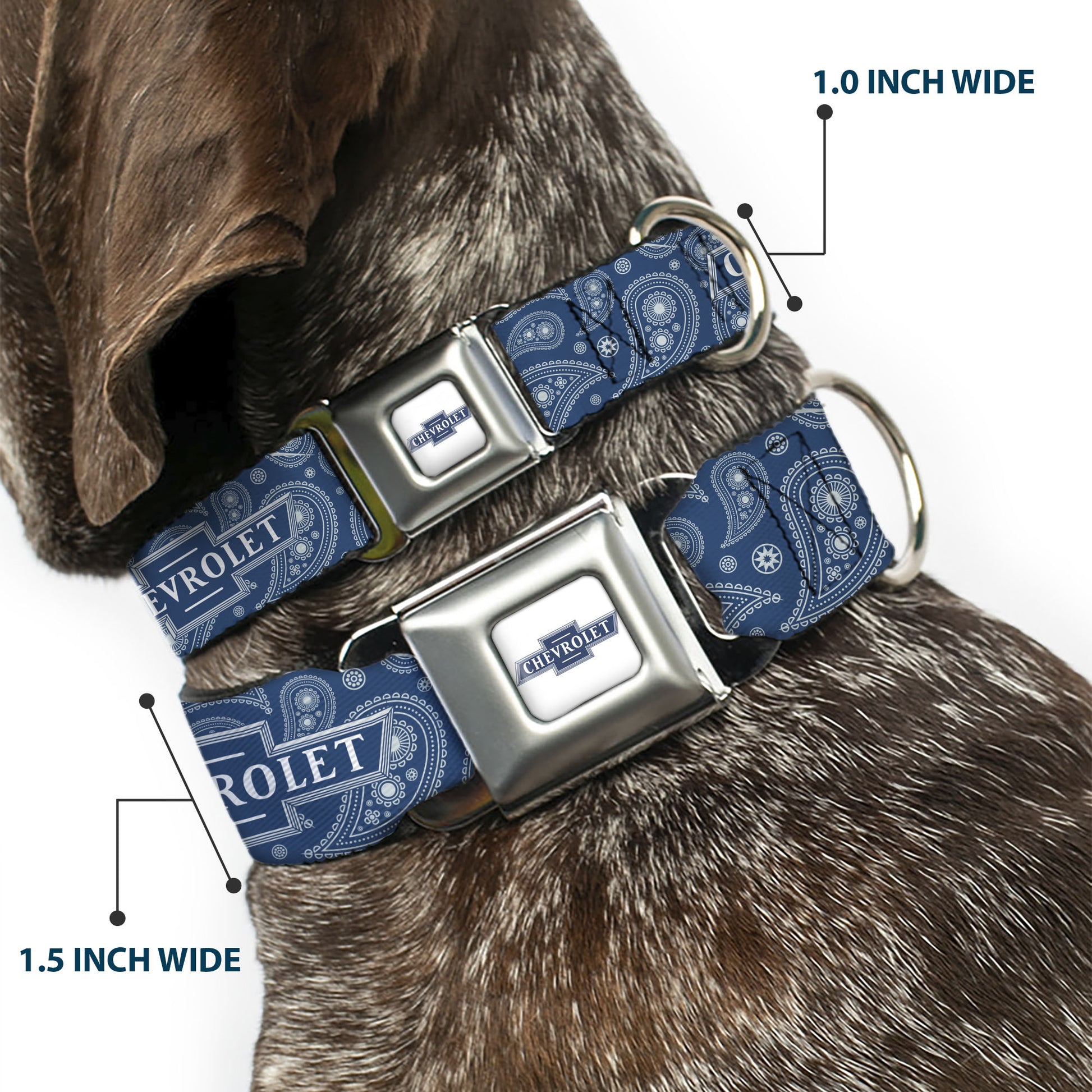 CHEVROLET 1940 Bowtie Text Logo Full Color White/Blues Seatbelt Buckle Collar - CHEVROLET Bowtie Paisley Blue/White Seatbelt Buckle Collars Chevrolet