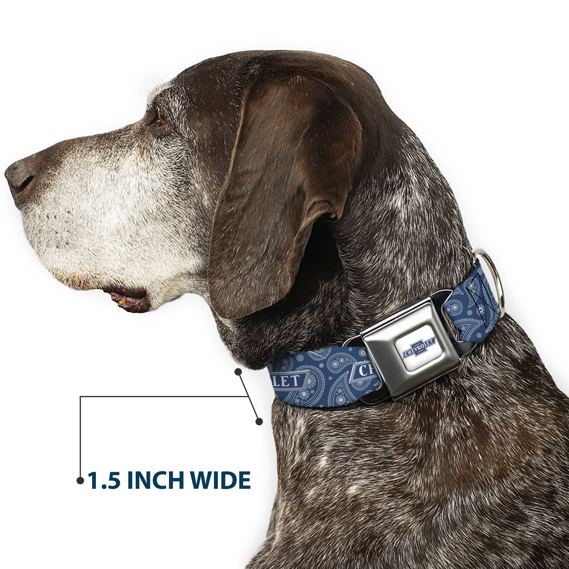 CHEVROLET 1940 Bowtie Text Logo Full Color White/Blues Seatbelt Buckle Collar - CHEVROLET Bowtie Paisley Blue/White Seatbelt Buckle Collars Chevrolet