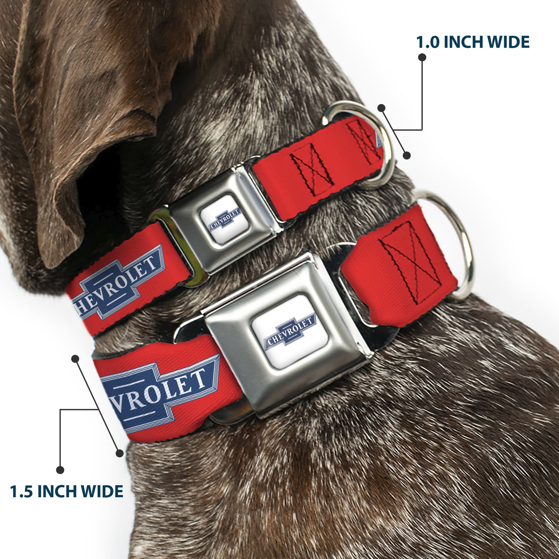 CHEVROLET 1940 Bowtie Text Logo Full Color White/Blues Seatbelt Buckle Collar - CHEVROLET 1940 Bowtie Text Logo Orange/Blue/White Seatbelt Buckle Collars Chevrolet