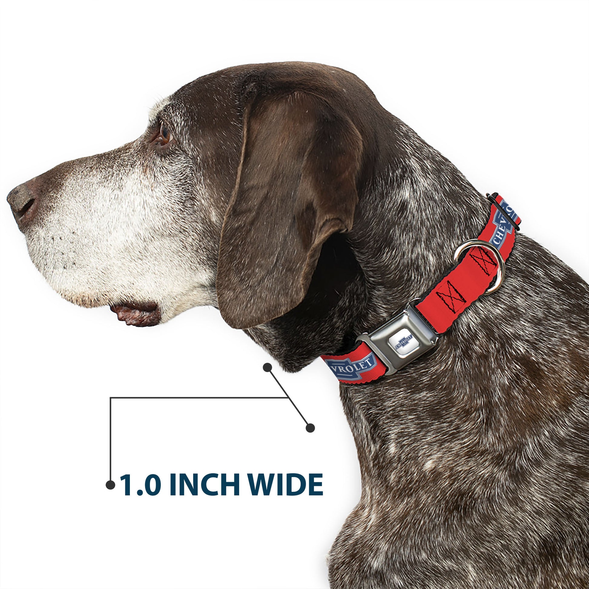 CHEVROLET 1940 Bowtie Text Logo Full Color White/Blues Seatbelt Buckle Collar - CHEVROLET 1940 Bowtie Text Logo Orange/Blue/White Seatbelt Buckle Collars Chevrolet