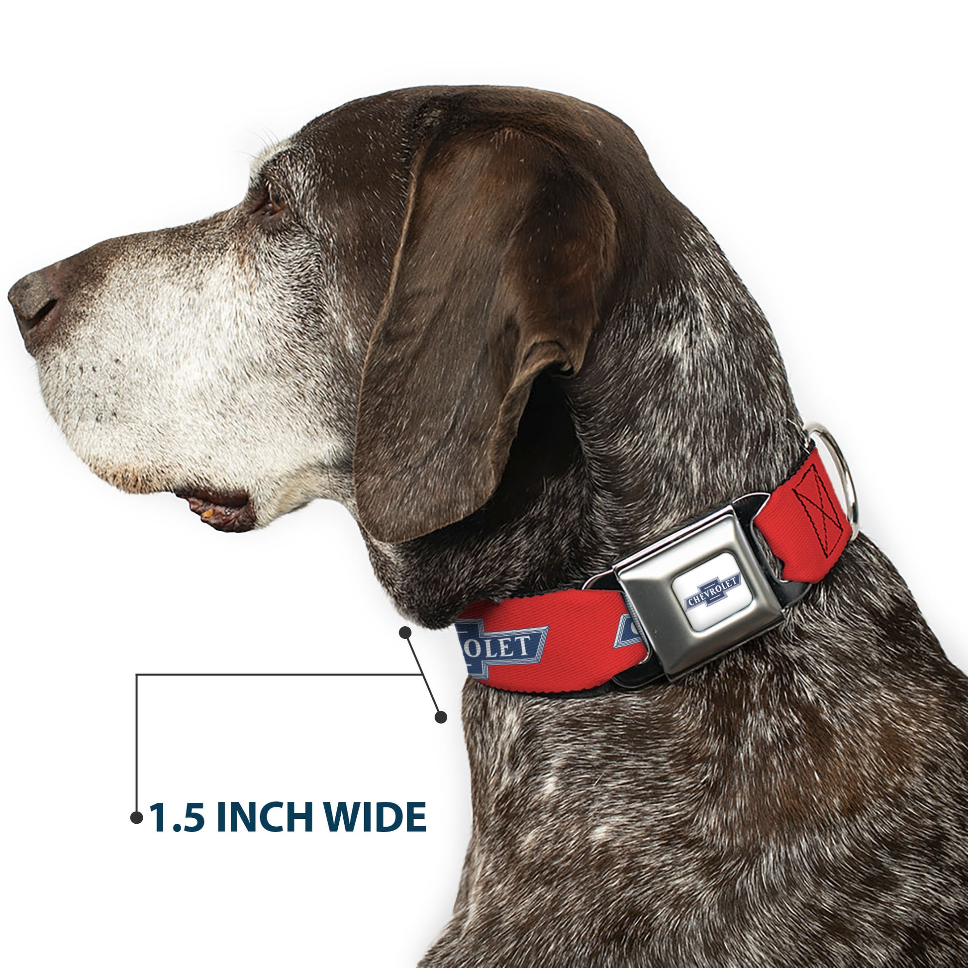 CHEVROLET 1940 Bowtie Text Logo Full Color White/Blues Seatbelt Buckle Collar - CHEVROLET 1940 Bowtie Text Logo Orange/Blue/White Seatbelt Buckle Collars Chevrolet
