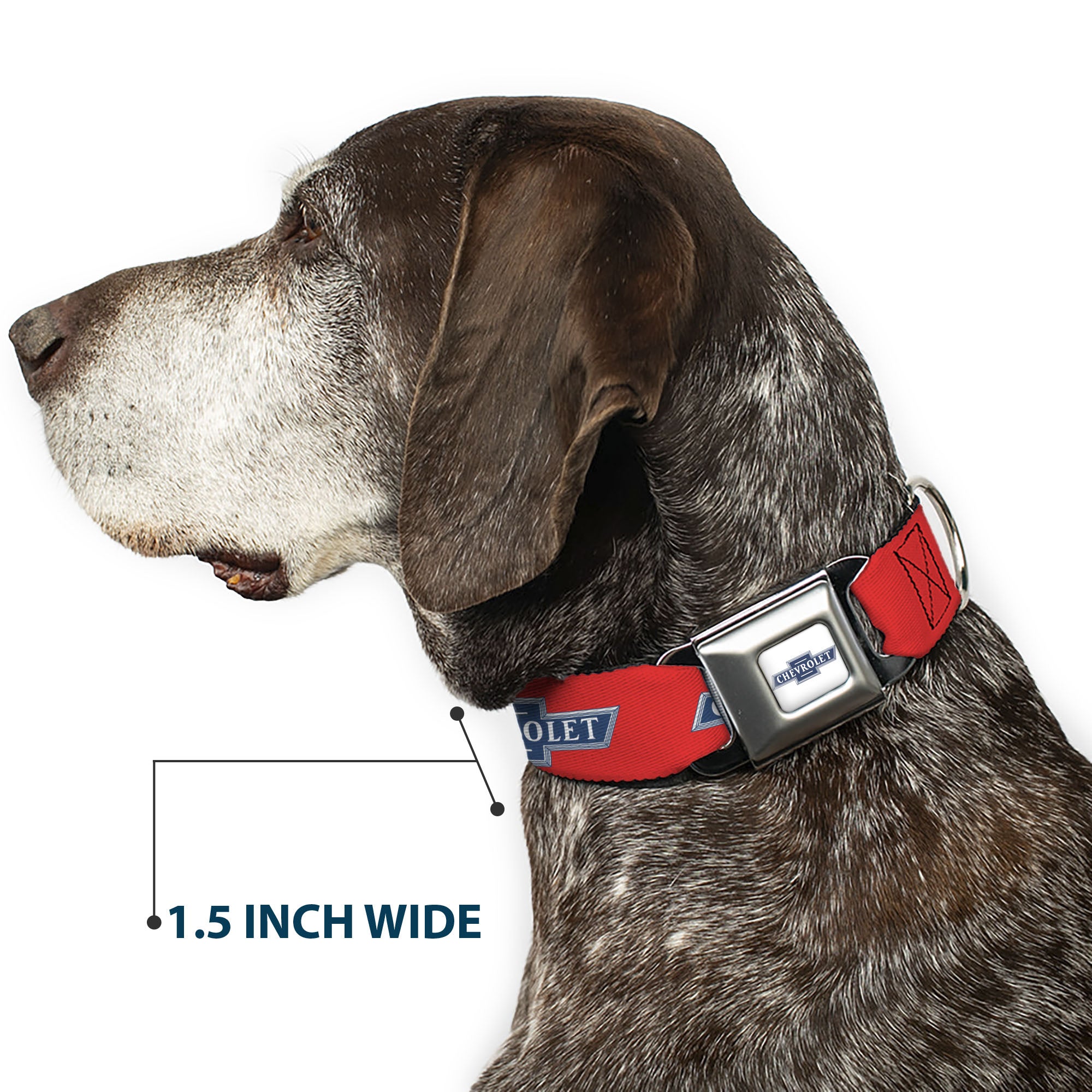 CHEVROLET 1940 Bowtie Text Logo Full Color White/Blues Seatbelt Buckle Collar - CHEVROLET 1940 Bowtie Text Logo Orange/Blue/White Seatbelt Buckle Collars Chevrolet
