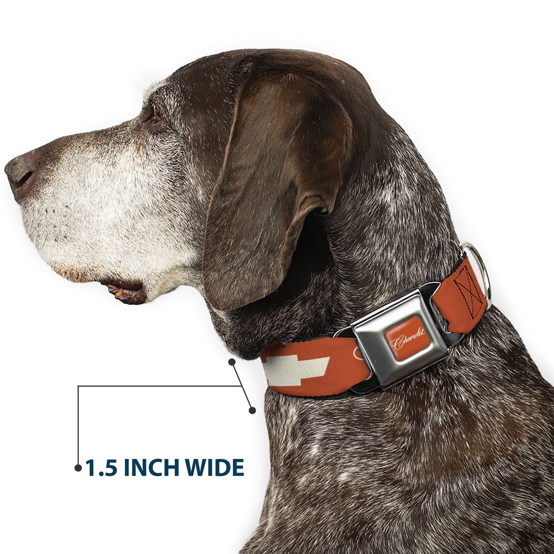 CHEVROLET Script Full Color Orange/White Seatbelt Buckle Collar - CHEVROLET Script and Bowtie Orange/White Seatbelt Buckle Collars Chevrolet