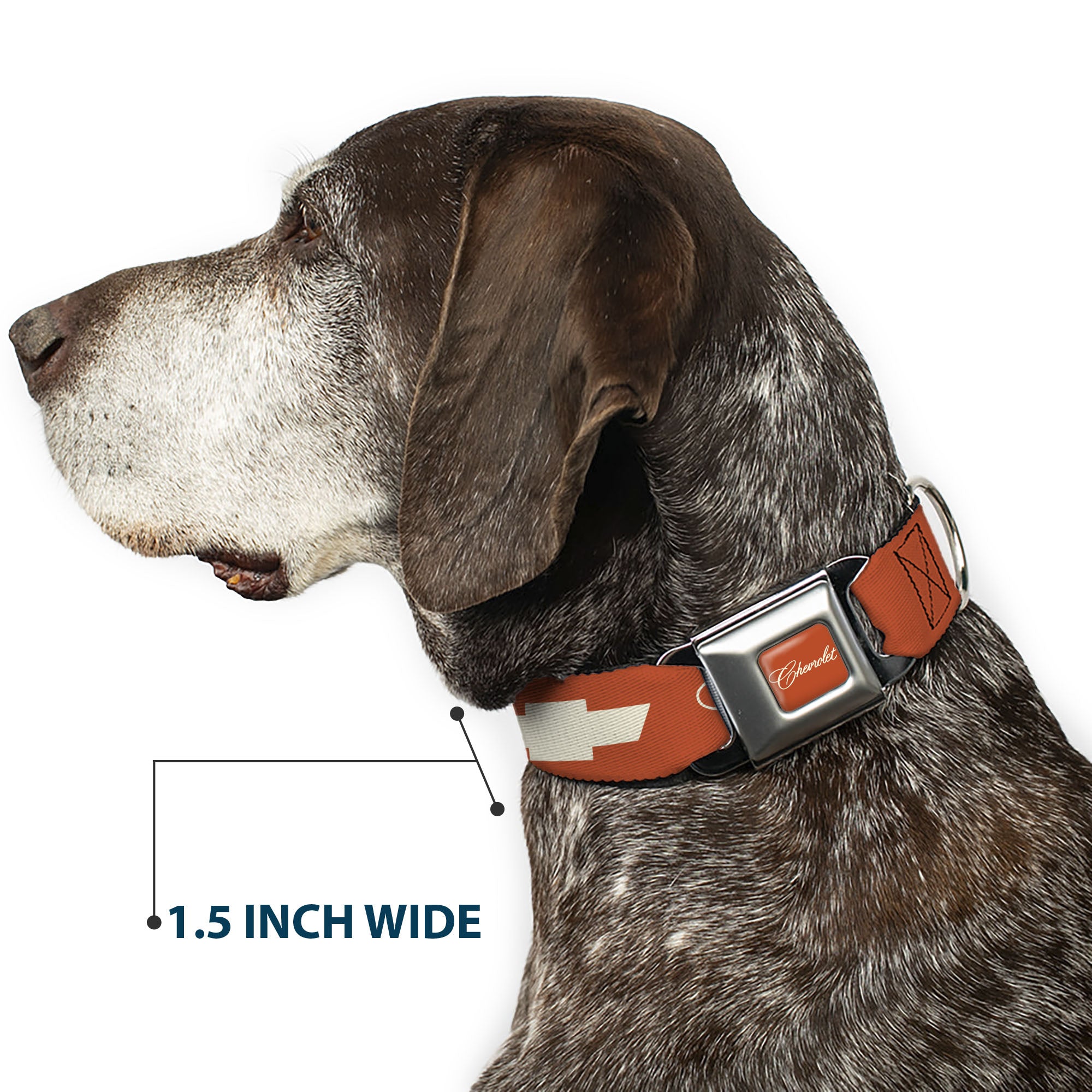 CHEVROLET Script Full Color Orange/White Seatbelt Buckle Collar - CHEVROLET Script and Bowtie Orange/White Seatbelt Buckle Collars Chevrolet