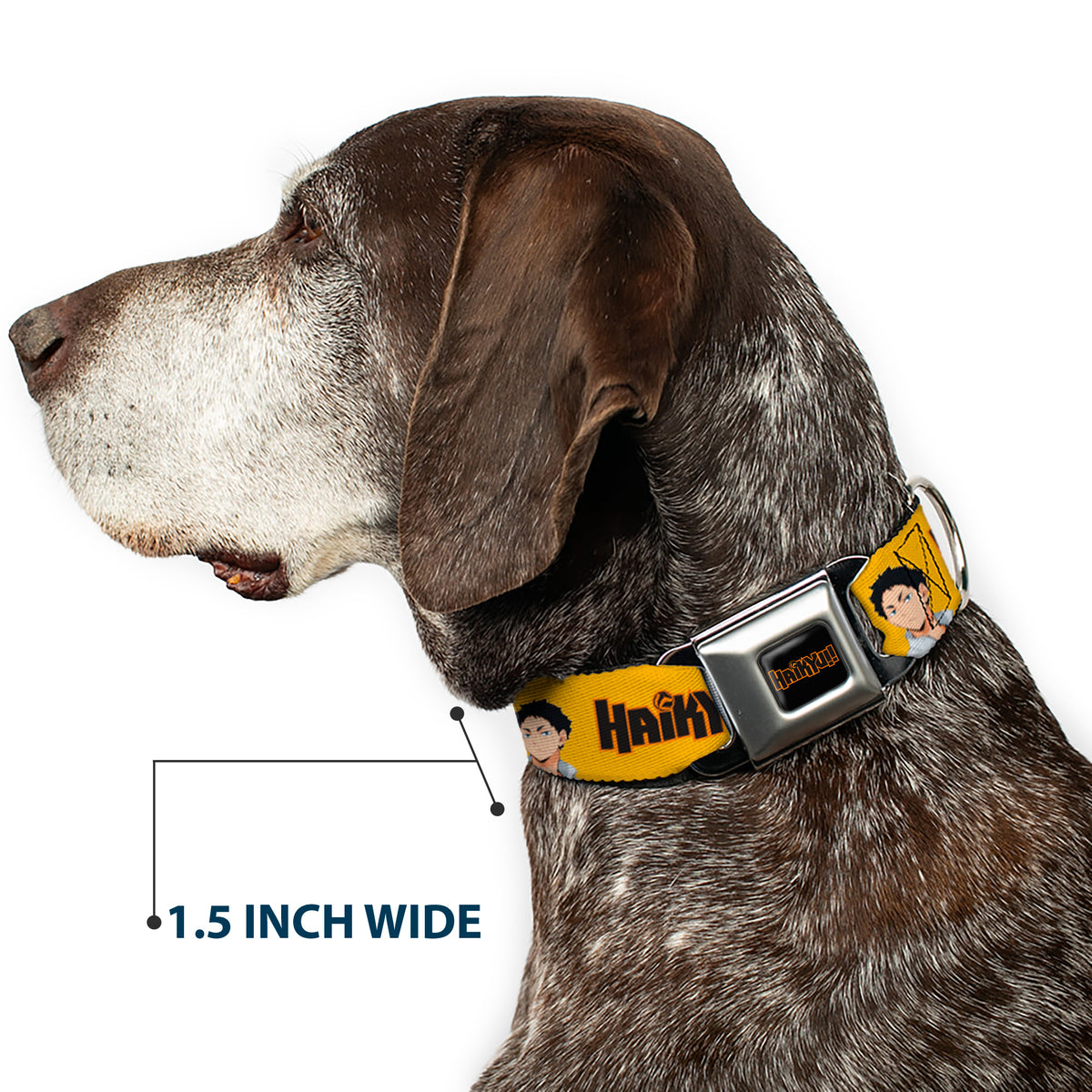 HAIKYU Title Logo Full Color Black/Orange Seatbelt Buckle Collar - HAIKYU Player Characters and Title Logo Yellow Dog Collars Seatbelt Buckle Haikyu!!