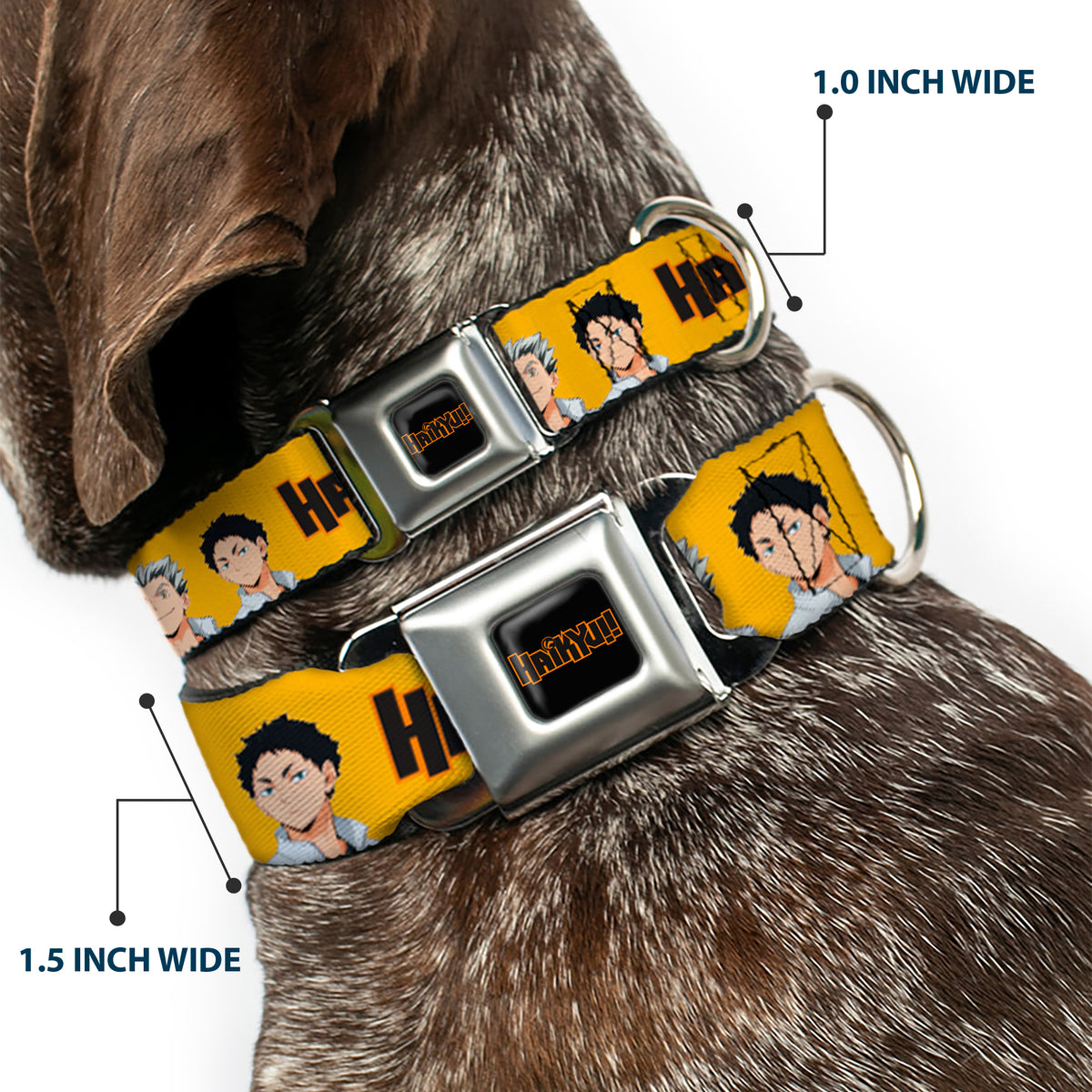 HAIKYU Title Logo Full Color Black/Orange Seatbelt Buckle Collar - HAIKYU Player Characters and Title Logo Yellow Dog Collars Seatbelt Buckle Haikyu!!