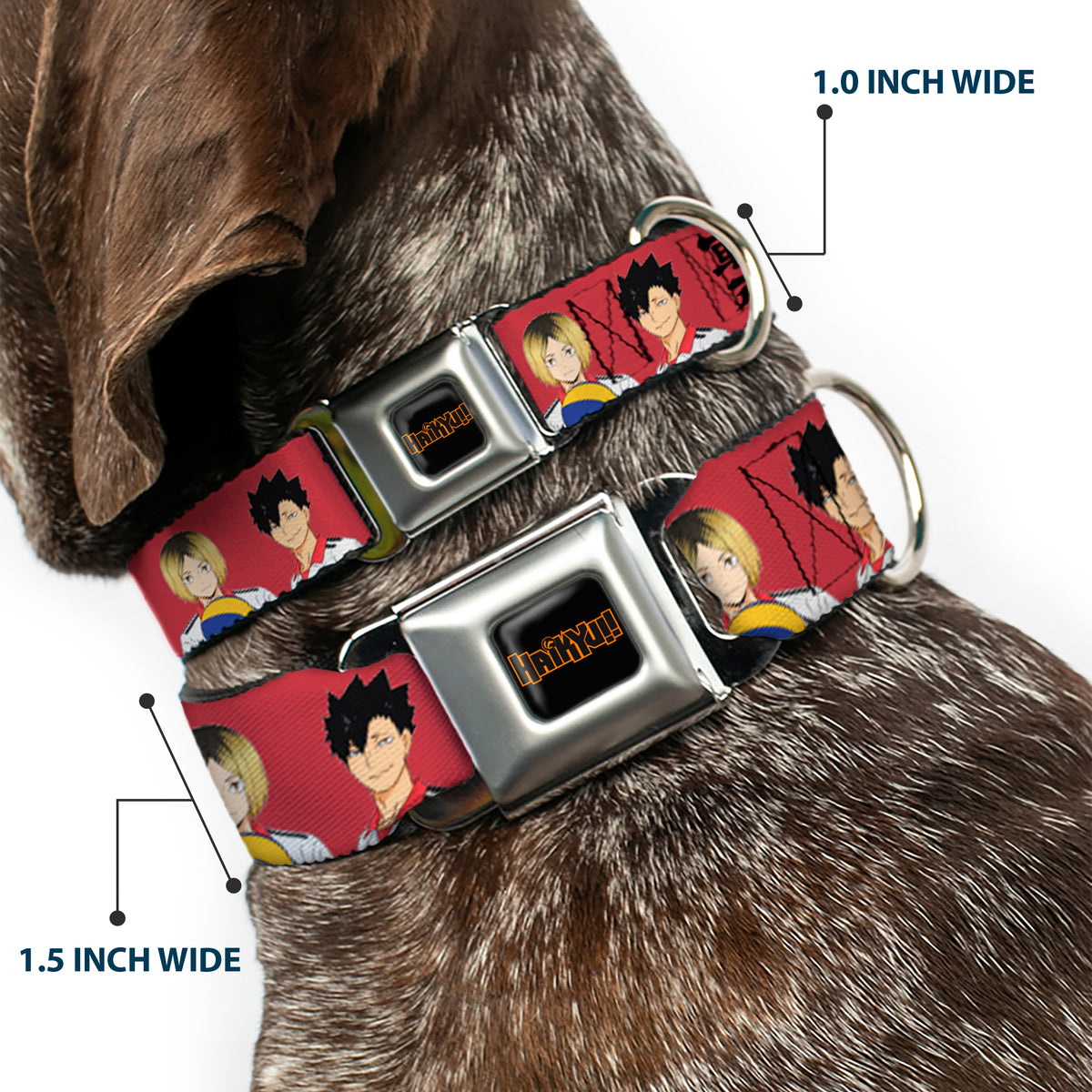 HAIKYU Title Logo Full Color Black/Orange Seatbelt Buckle Collar - HAIKYU Kozume and Kuroo Pose and Title Logo Red/Black Dog Collars Seatbelt Buckle Haikyu!!