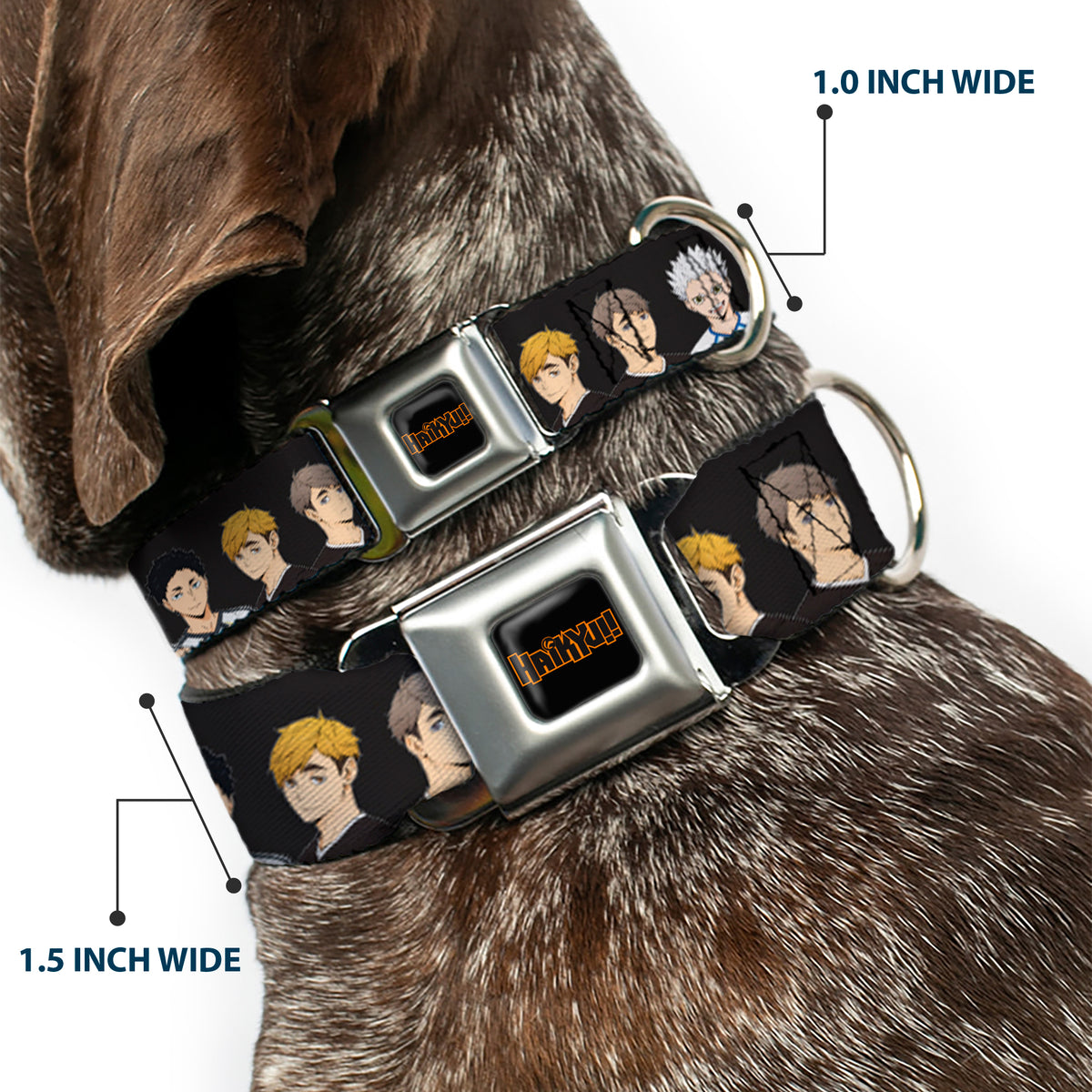 HAIKYU Title Logo Full Color Black/Orange Seatbelt Buckle Collar - HAIKYU Volleyball Team Player Groups Line Up Black Dog Collars Seatbelt Buckle Haikyu!!