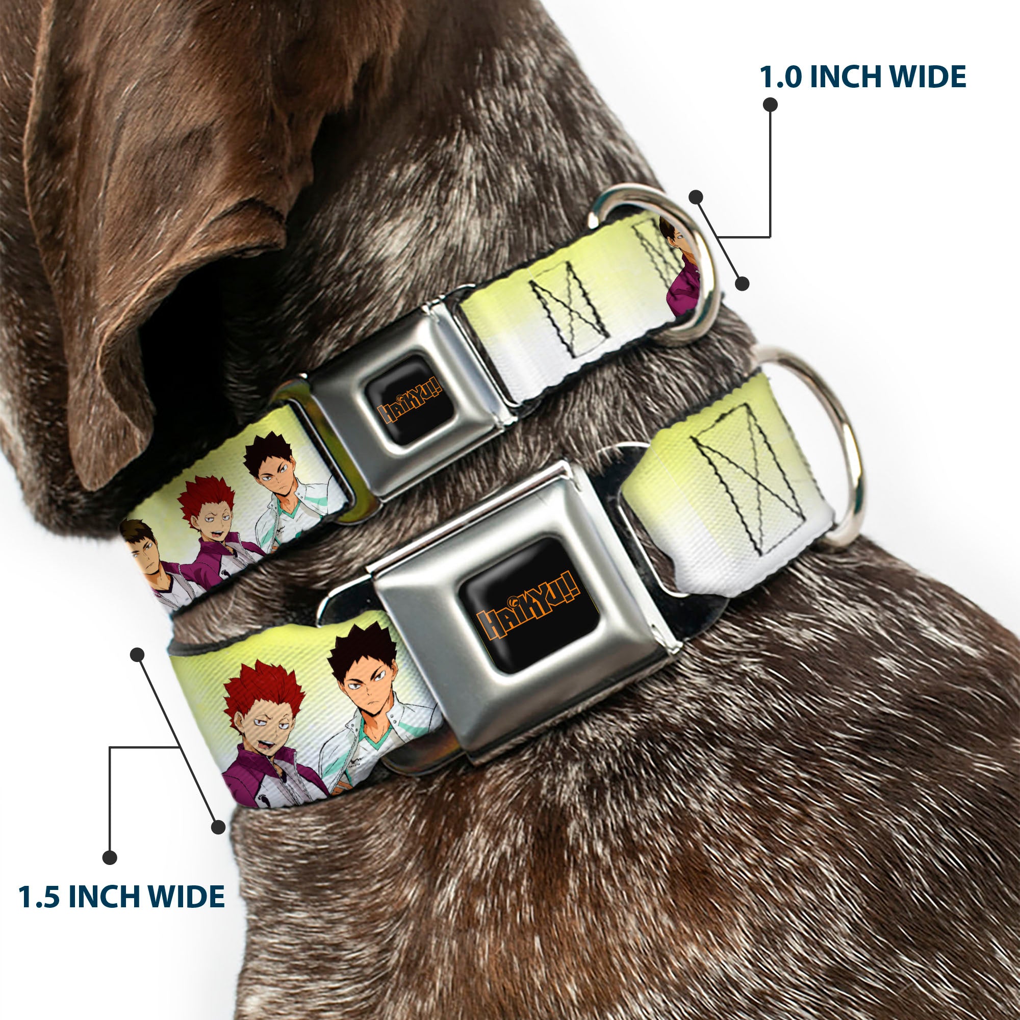 HAIKYU Title Logo Full Color Black/Orange Seatbelt Buckle Collar - Haikyu Six Volleyball Team Player Pairs Line Up Yellows Seatbelt Buckle Collars Haikyu!!