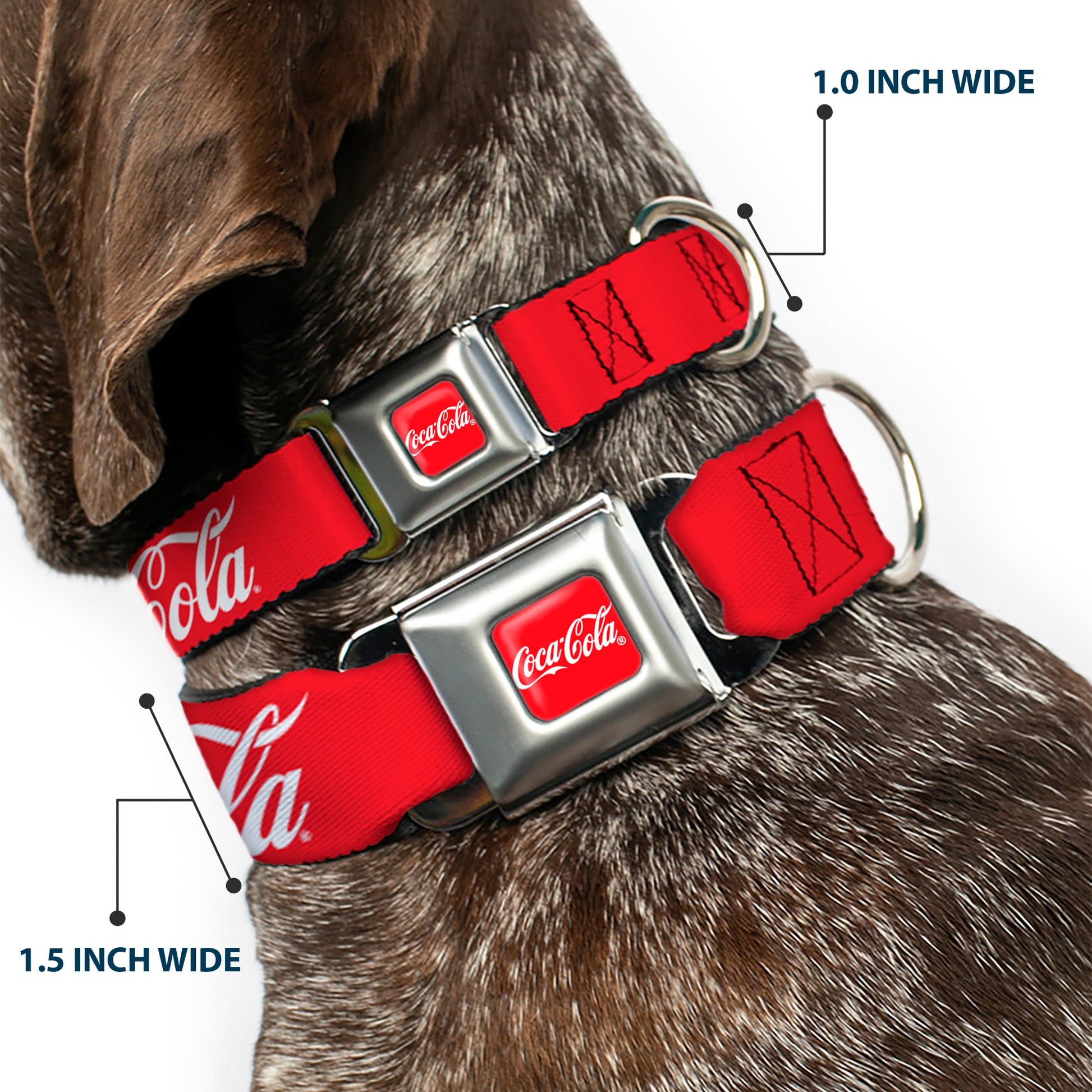 COCA-COLA Script Logo Full Color Red/White Seatbelt Buckle Collar - COCA-COLA Script Logo Red/White Seatbelt Buckle Collars Coca-Cola