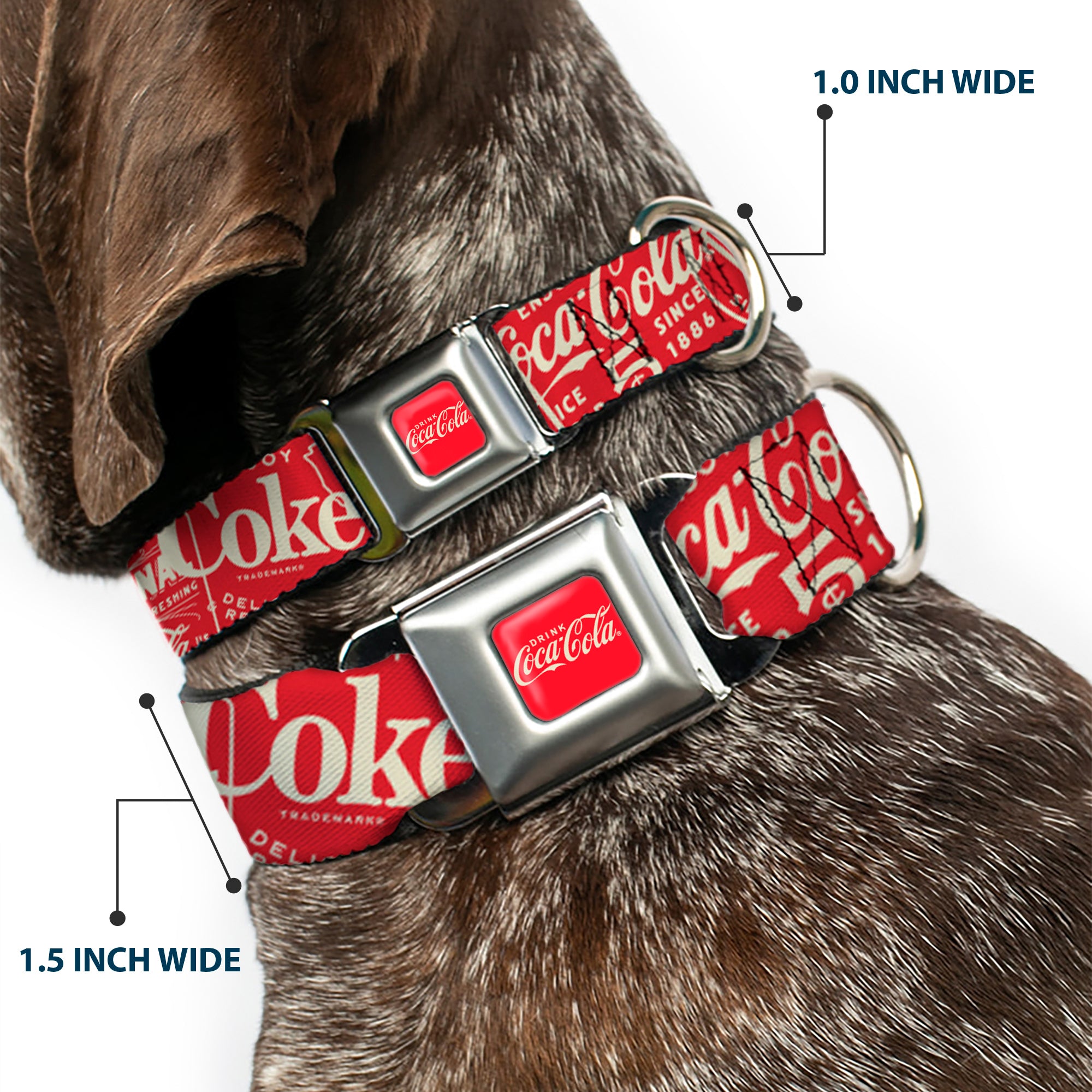 DRINK COCA-COLA Logo Full Color Red/White Seatbelt Buckle Collar - Vintage Coca-Cola Coke Icons and Ad Logos Red/White Seatbelt Buckle Collars Coca-Cola