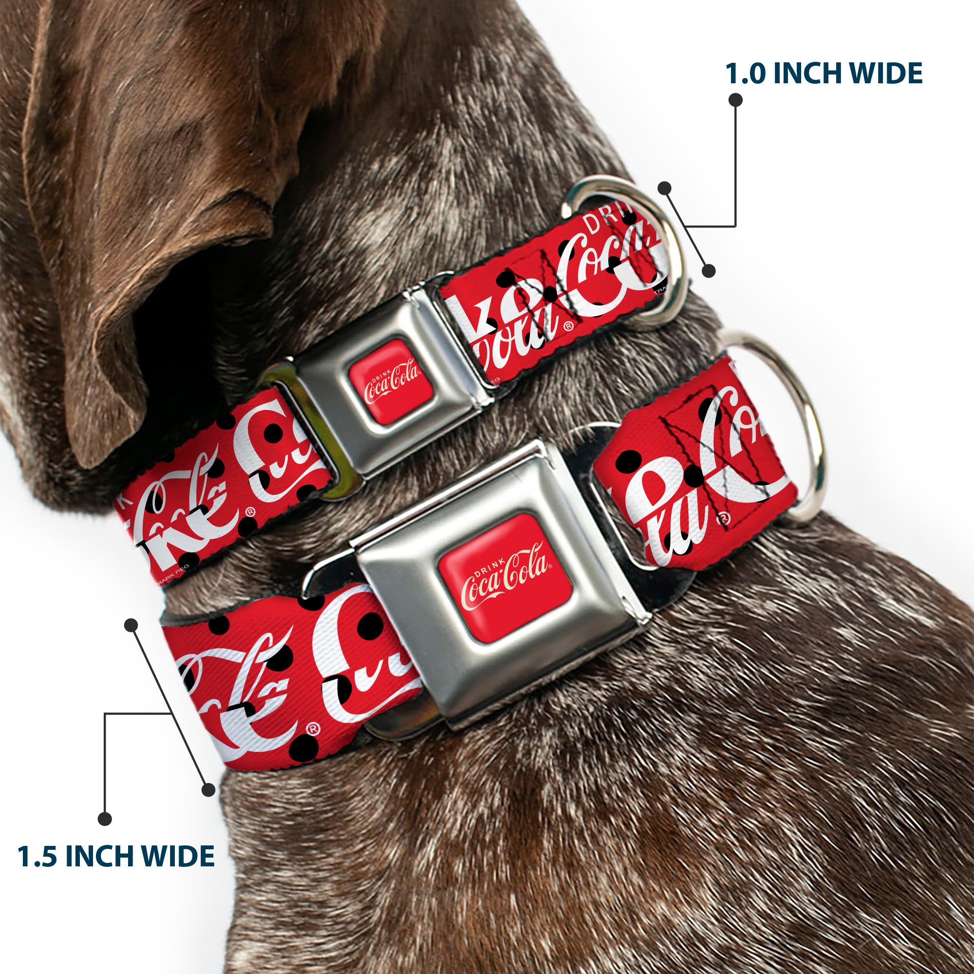 DRINK COCA-COLA Logo Full Color Red/White Seatbelt Buckle Collar - DRINK COCA-COLA COKE Polka Dot Red/Black/White Seatbelt Buckle Collars Coca-Cola