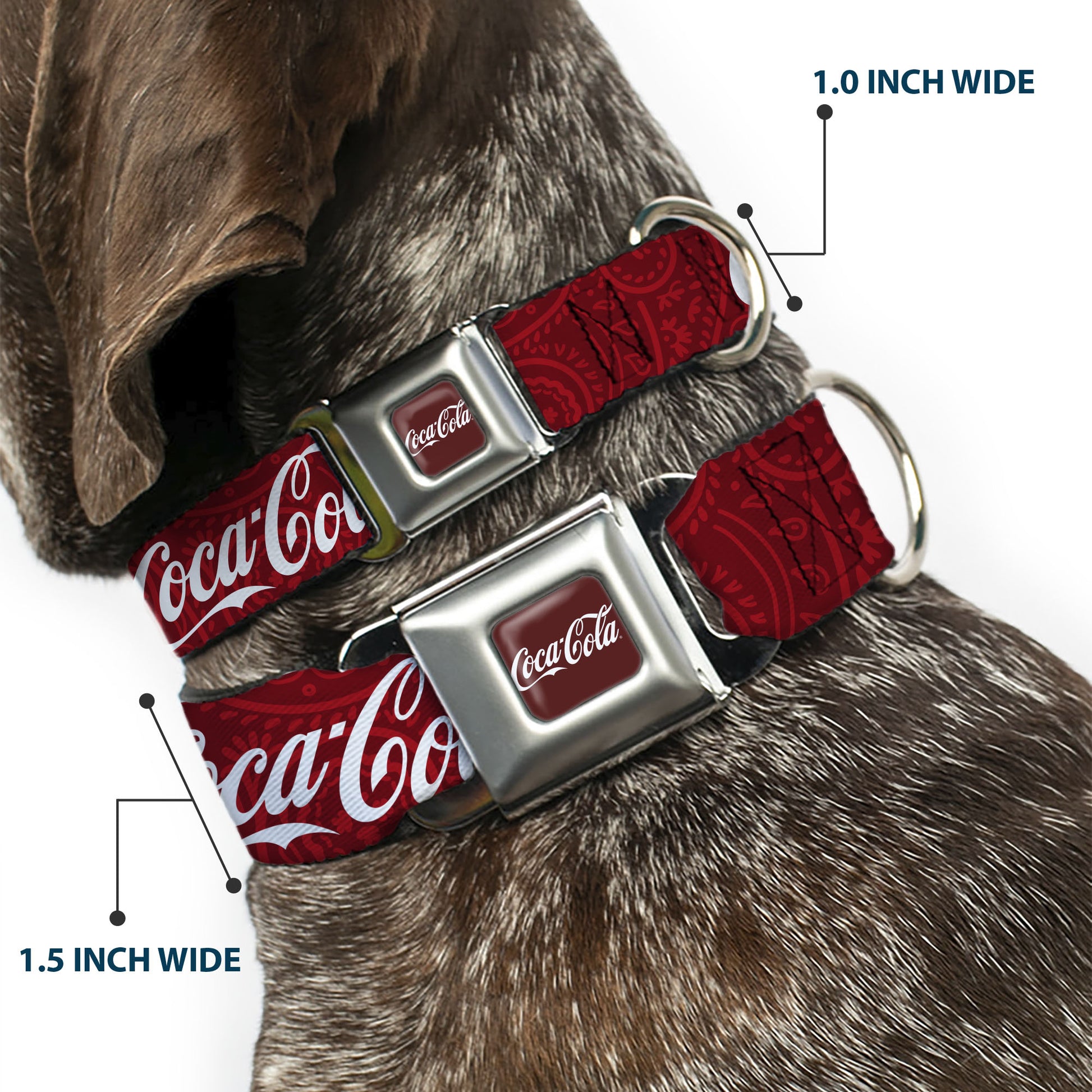 COCA-COLA Script Logo Full Color Burgundy/White Seatbelt Buckle Collar - COCA-COLA 1886 Script Logo Blues/White/Red Seatbelt Buckle Collars Coca-Cola