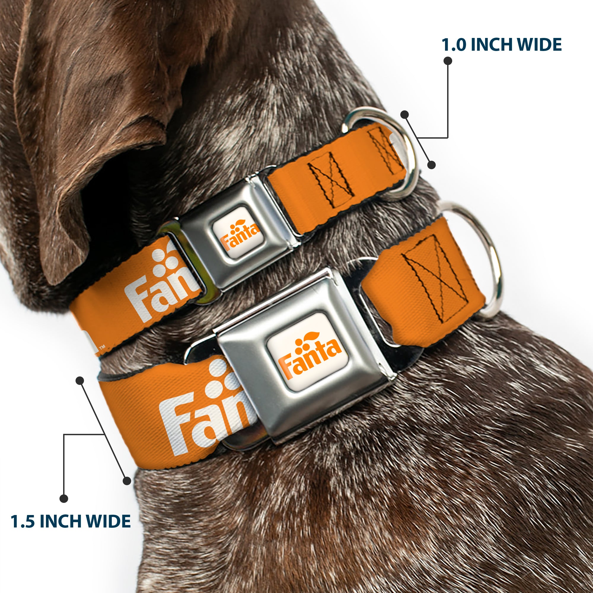 Vintage Orange FANTA Logo Full Color White/Orange Seatbelt Buckle Collar - Vintage Orange FANTA Logo Orange/White Seatbelt Buckle Collars Coca-Cola
