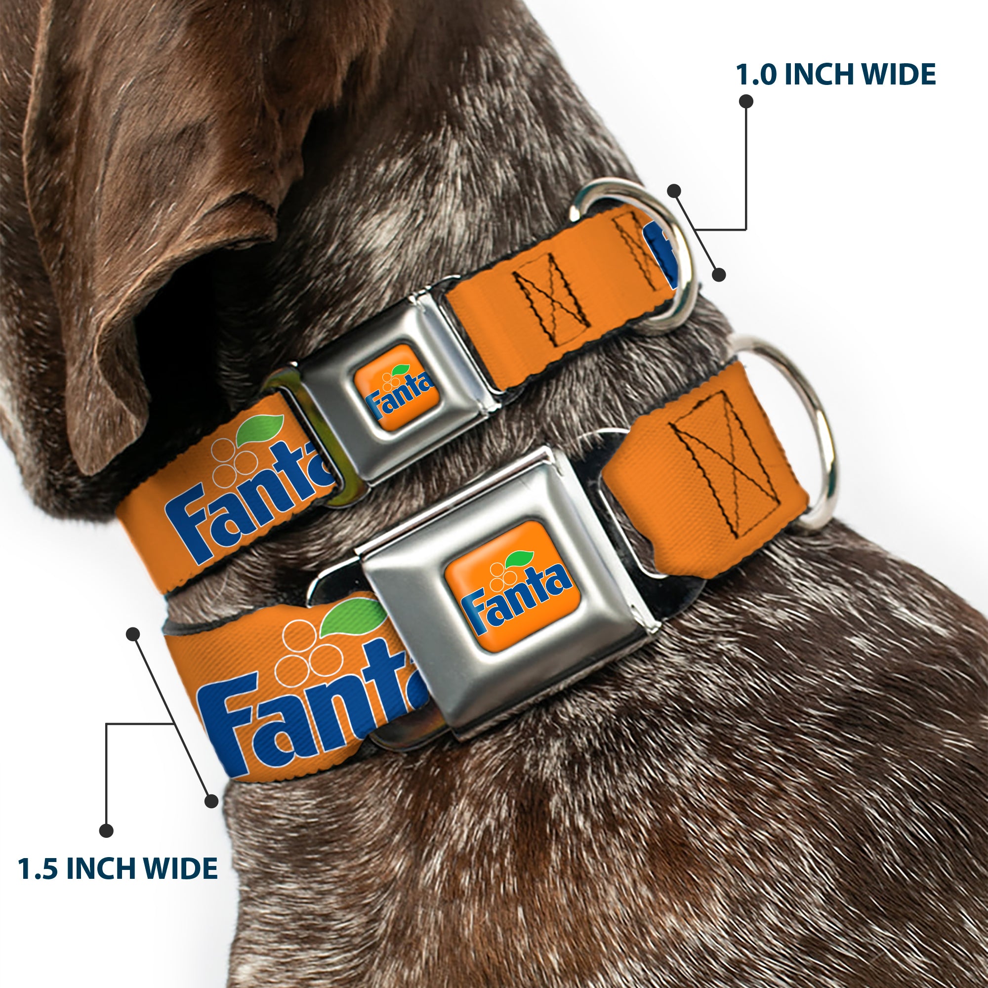 Vintage Orange FANTA Logo Full Color Orange/Blue Seatbelt Buckle Collar - Vintage Orange FANTA Logo Full Color Orange/Blue Seatbelt Buckle Collars Coca-Cola
