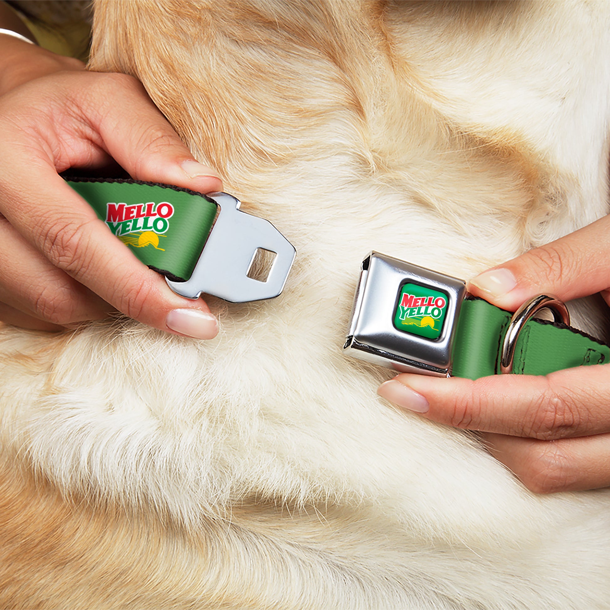 MELLO YELLO Logo Full Color Green/White/Red/Yellow Seatbelt Buckle Collar - MELLO YELLO Logo Green/White/Red/Yellow Seatbelt Buckle Collars Coca-Cola