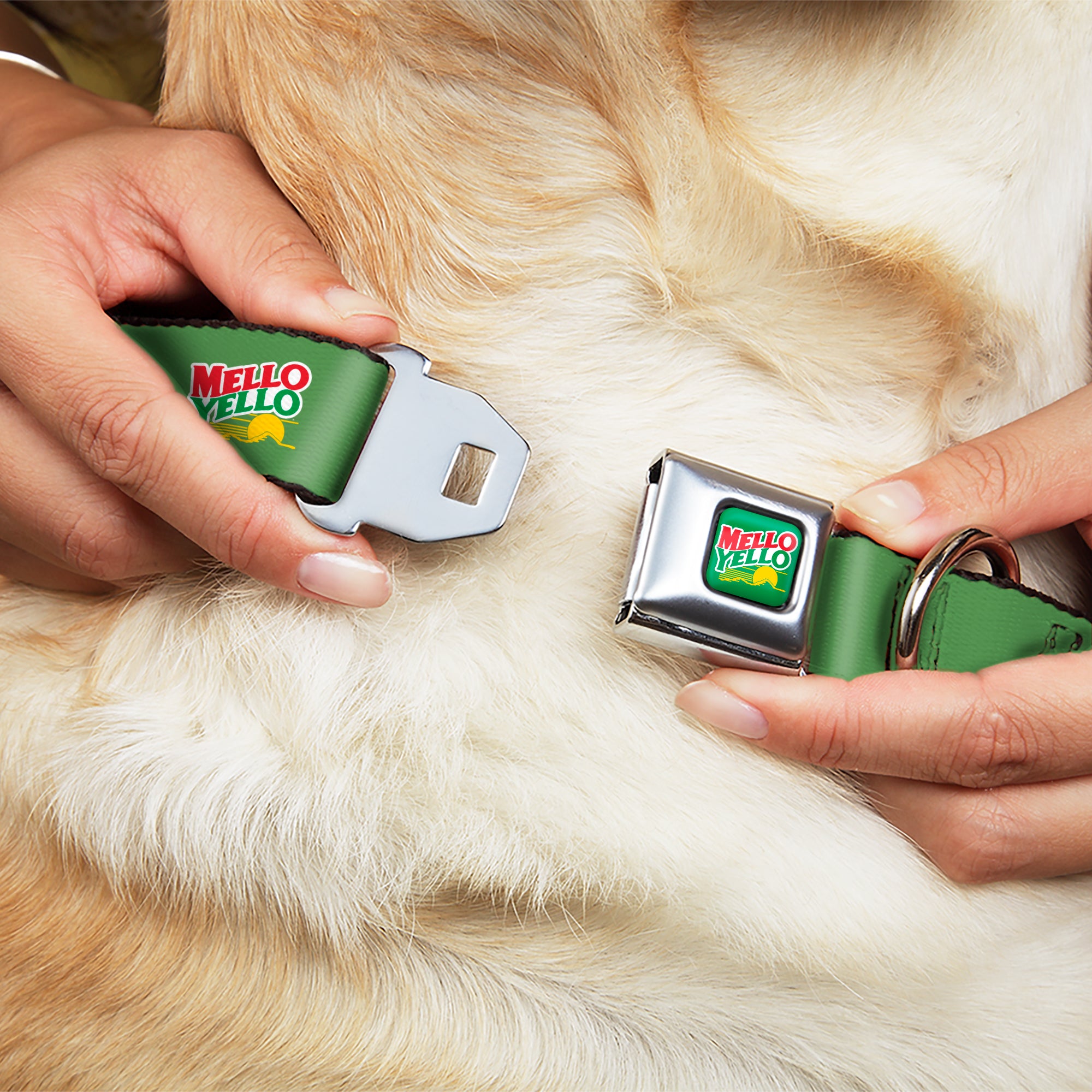 MELLO YELLO Logo Full Color Green/White/Red/Yellow Seatbelt Buckle Collar - MELLO YELLO Logo Green/White/Red/Yellow Seatbelt Buckle Collars Coca-Cola