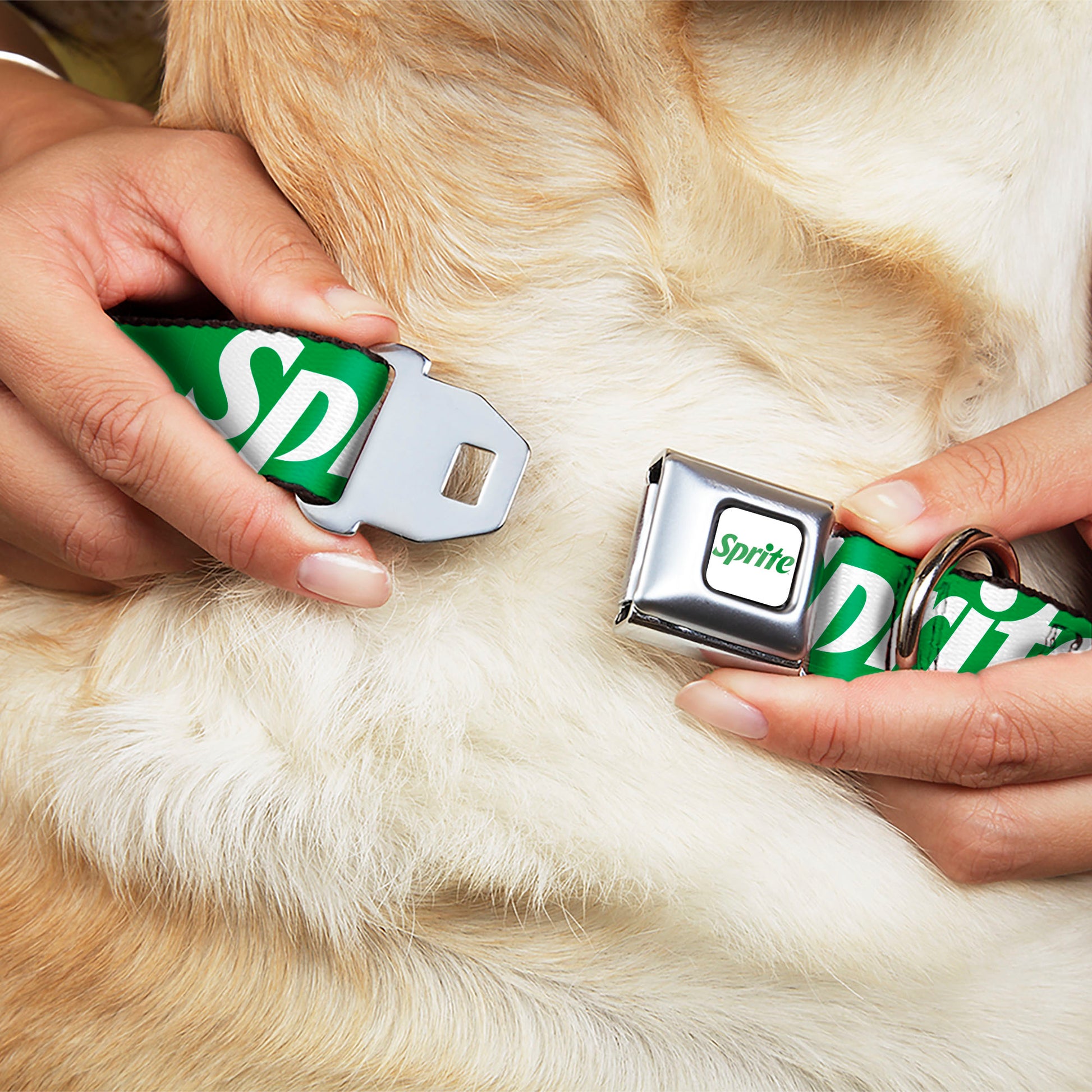 SPRITE Logo Full Color White/Green Seatbelt Buckle Collar - SPRITE Logo Green/White Seatbelt Buckle Collars Coca-Cola