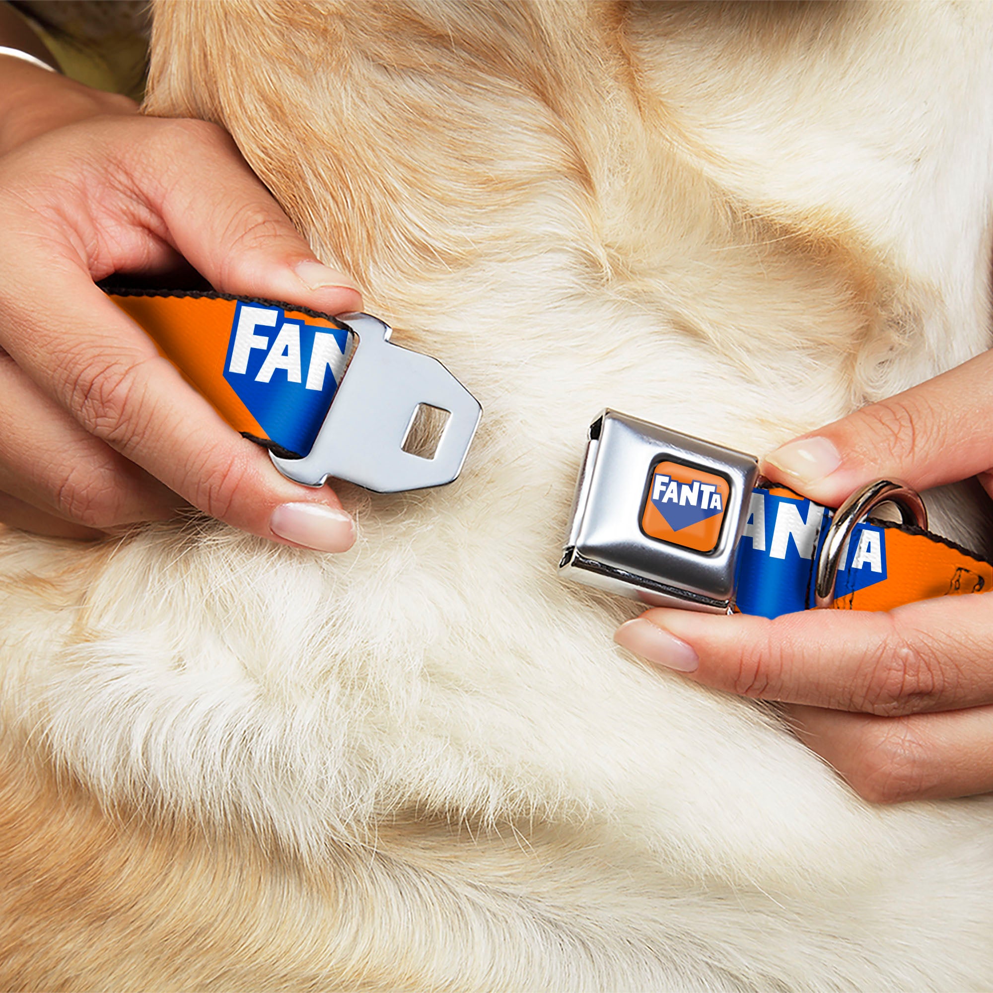 FANTA Logo Full Color Orange/Blue/White Seatbelt Buckle Collar - FANTA Logo Orange/Blue/White Seatbelt Buckle Collars Coca-Cola