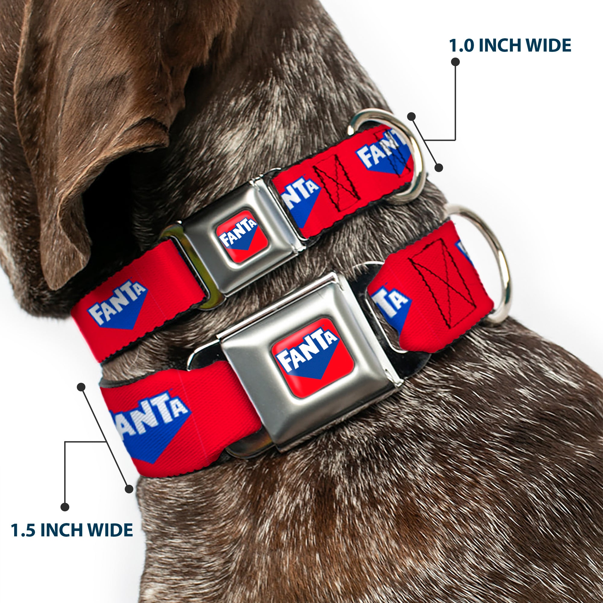 FANTA Logo Full Color Strawberry Red/Blue/White Seatbelt Buckle Collar - FANTA Logo Strawberry Red/Blue/White Seatbelt Buckle Collars Coca-Cola