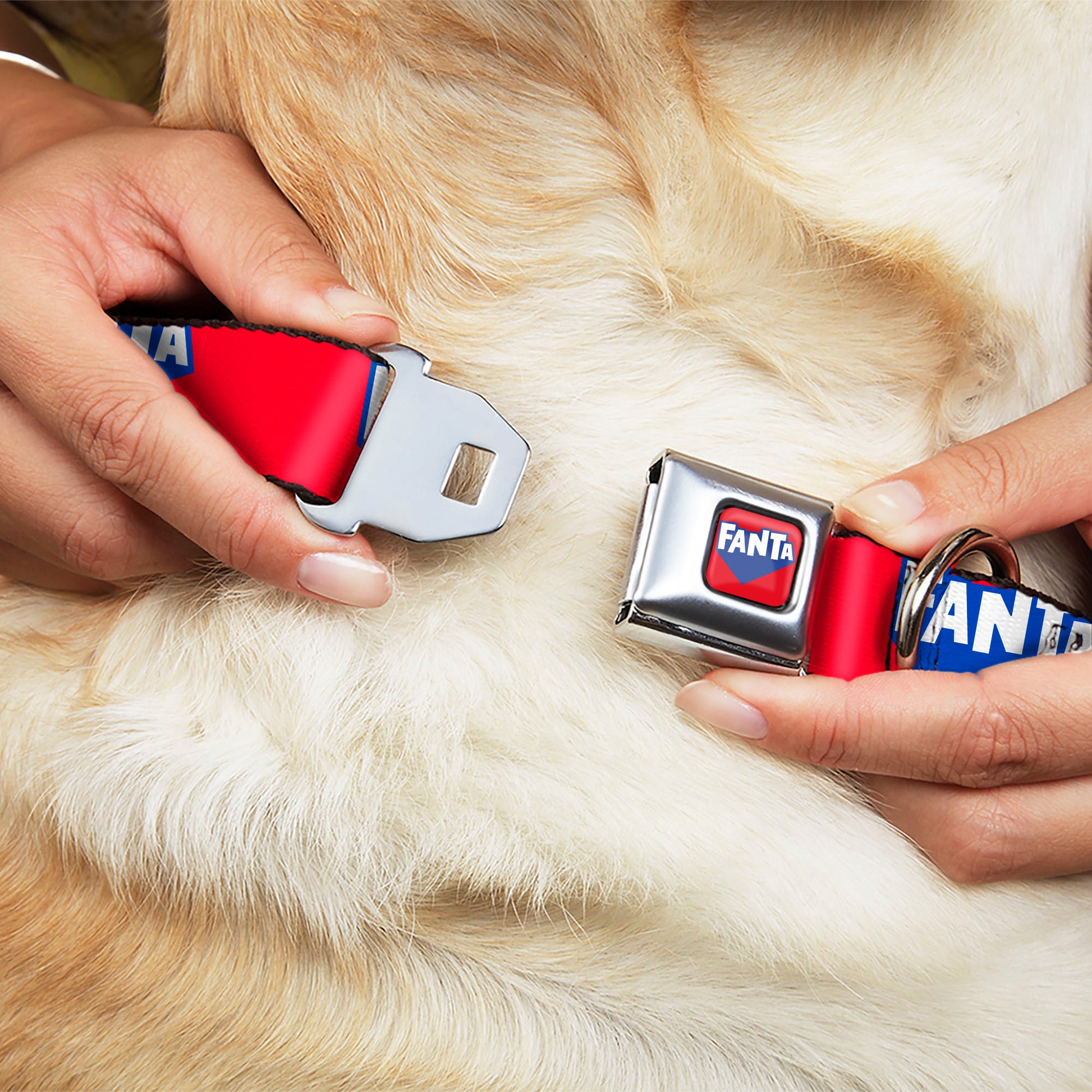 FANTA Logo Full Color Strawberry Red/Blue/White Seatbelt Buckle Collar - FANTA Logo Strawberry Red/Blue/White Seatbelt Buckle Collars Coca-Cola
