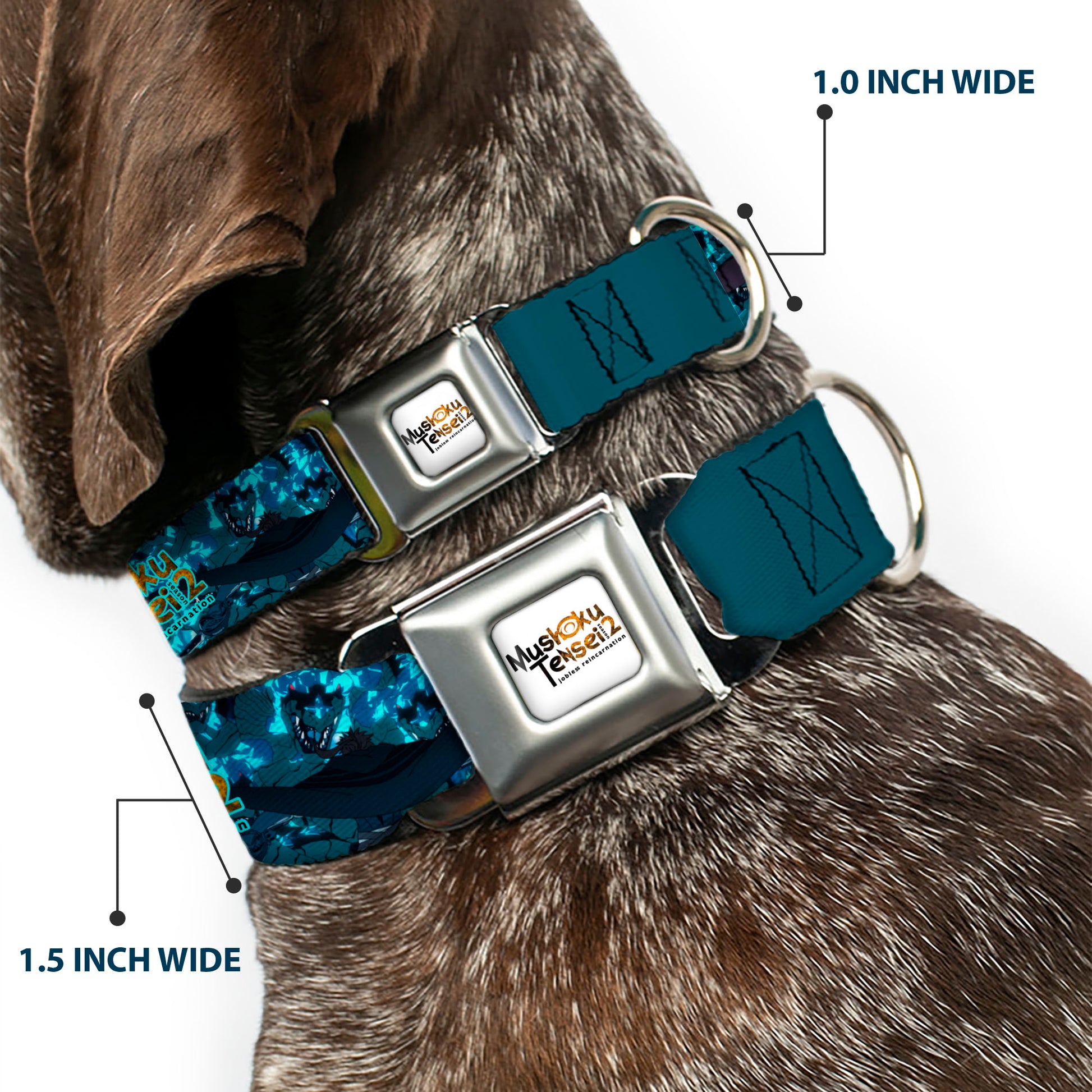 MUSHOKU TENSEI SEASON 2 JOBLESS REINACARNATION Title Logo Full Color White Seatbelt Buckle Collar - MUSHOKU TENSEI Manatite Hydra Magic Crystal Battle Scene and Title Logo Blues Seatbelt Buckle Collars Mushoku Tensei Jobless Reincarnation