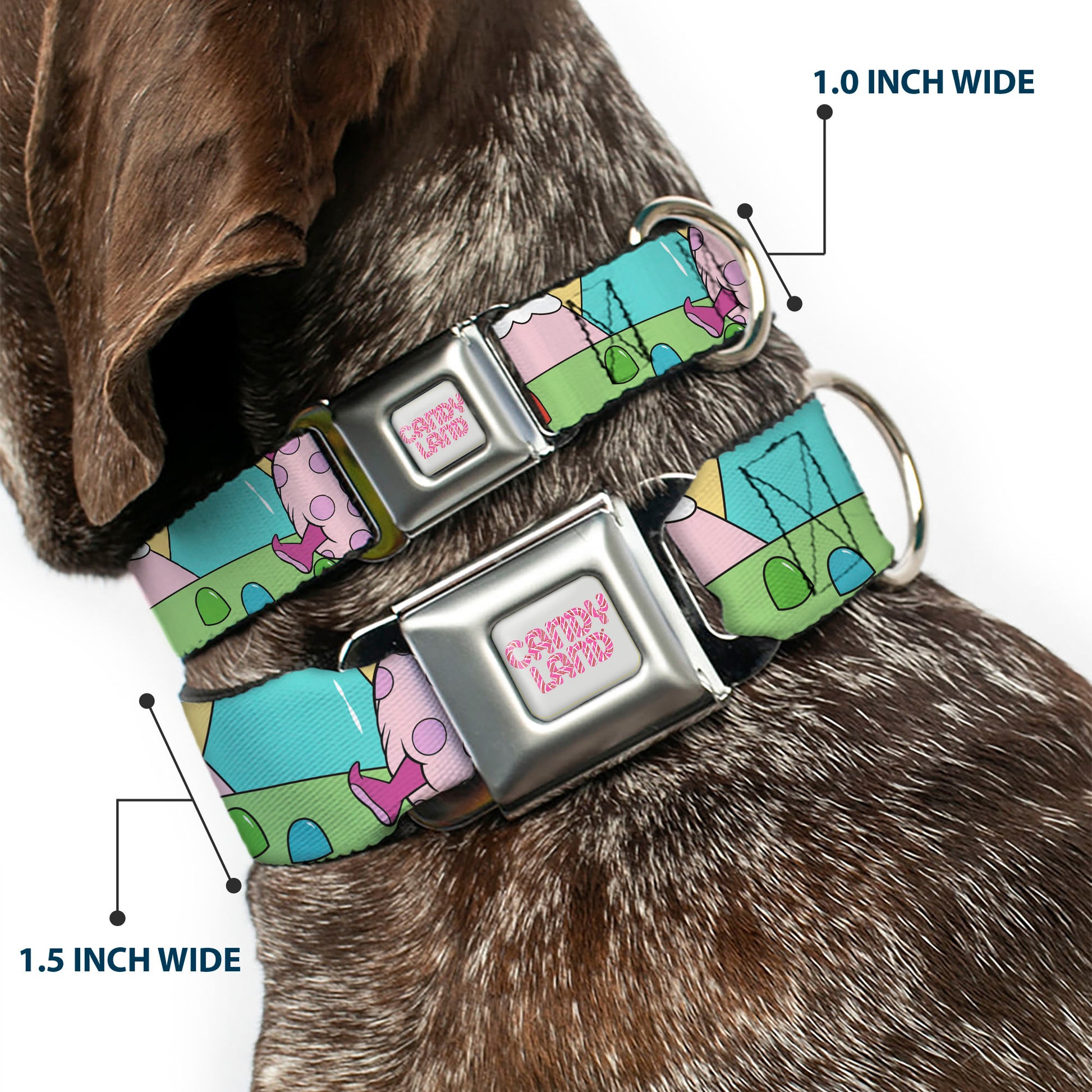 CANDY LAND Title Logo Full Color Light Gray/Pinks Seatbelt Buckle Collar - Candy Land Jolly Laughing Pose and Gum Drops Multi Color Seatbelt Buckle Collars Candy Land