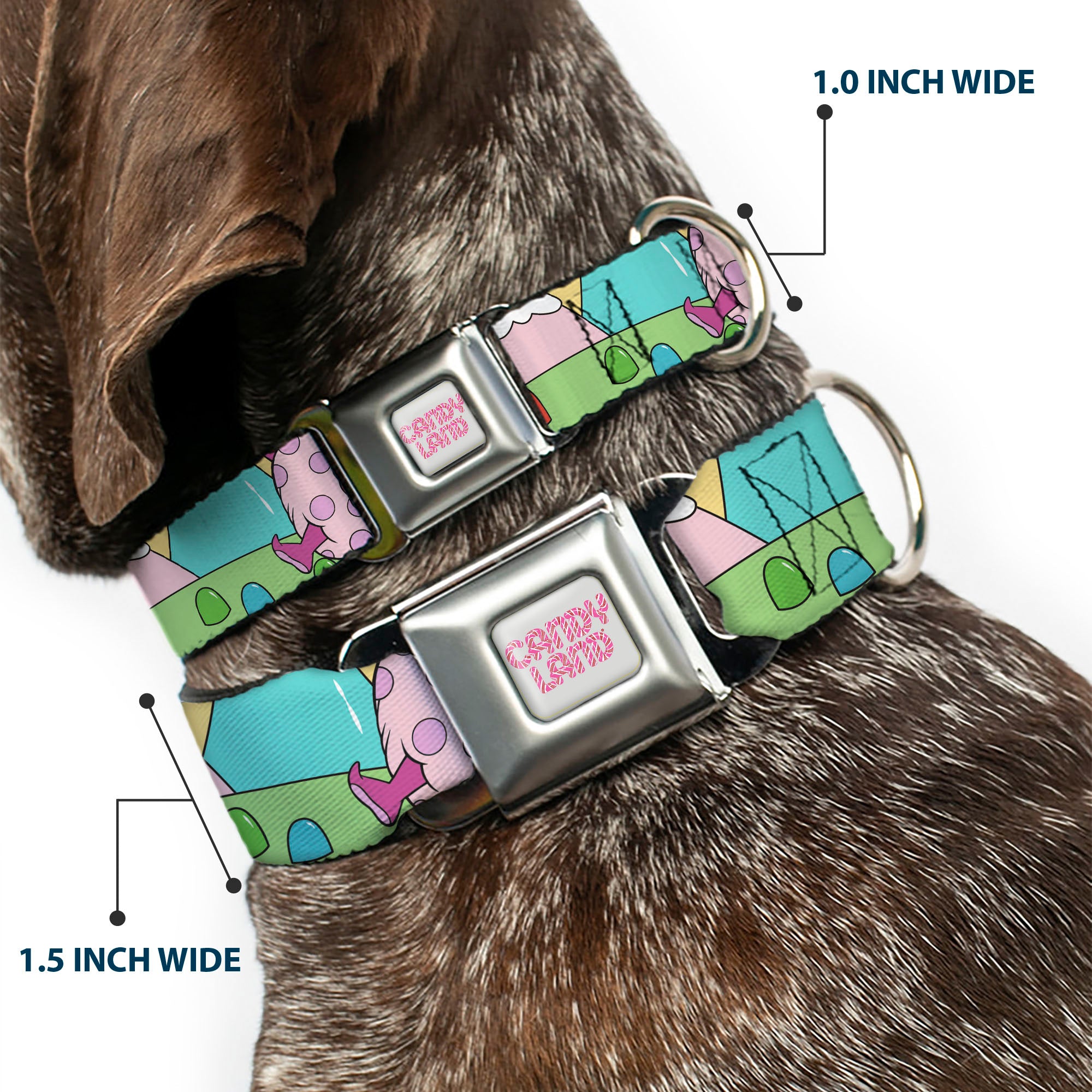 CANDY LAND Title Logo Full Color Light Gray/Pinks Seatbelt Buckle Collar - Candy Land Jolly Laughing Pose and Gum Drops Multi Color Seatbelt Buckle Collars Candy Land