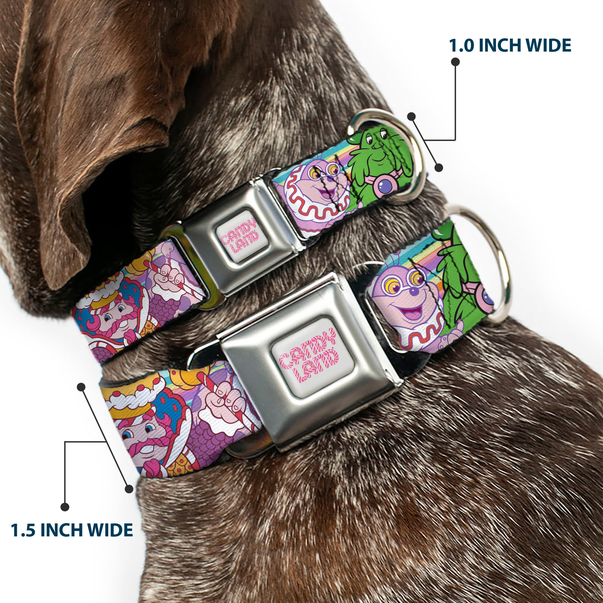 CANDY LAND Title Logo Full Color Light Gray/Pinks Seatbelt Buckle Collar - Candy Land Character Lineup Stripe Multi Color Seatbelt Buckle Collars Candy Land